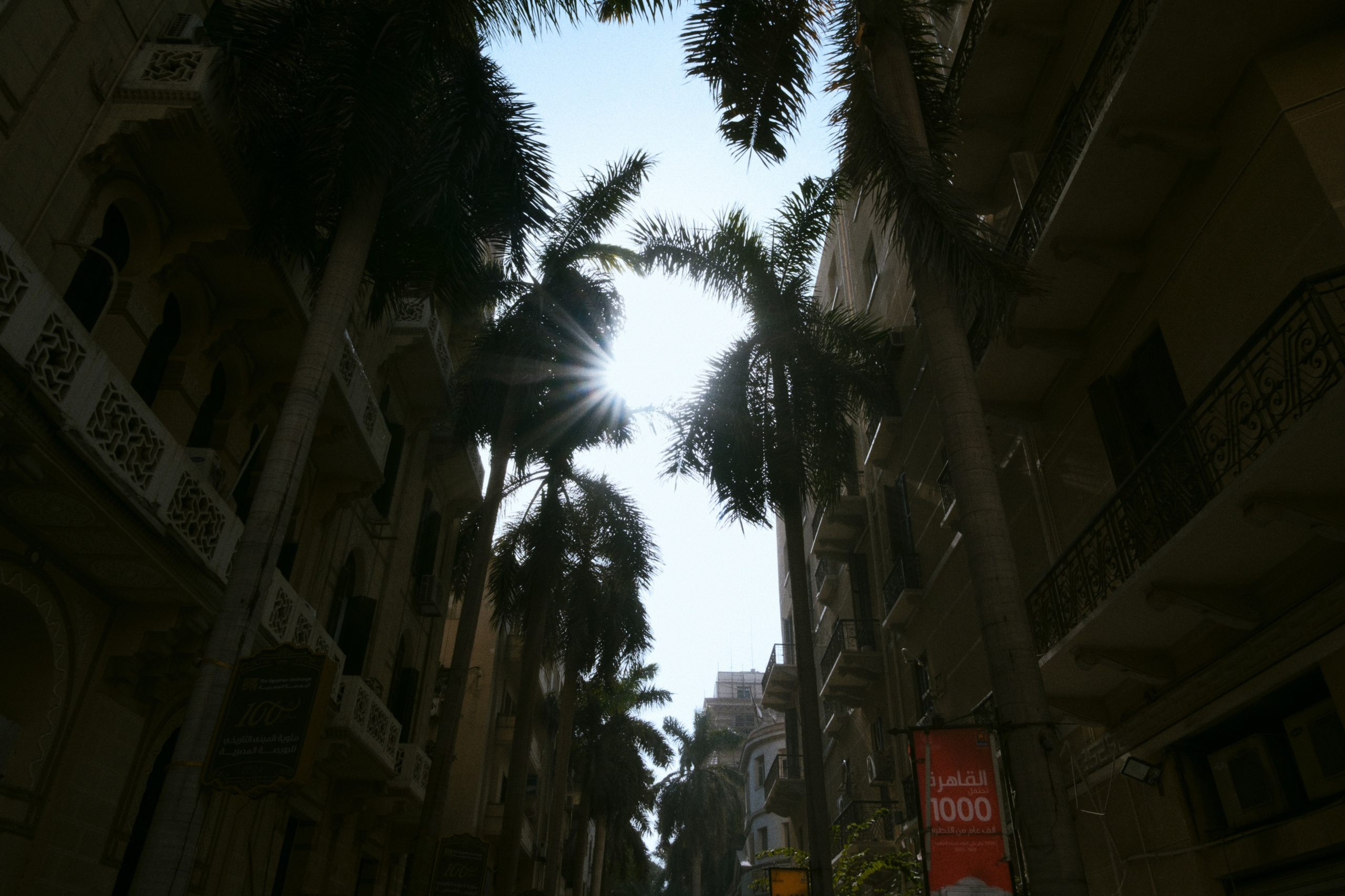 Cairo / Egypt AW25. Фотограф Юрин Евгений