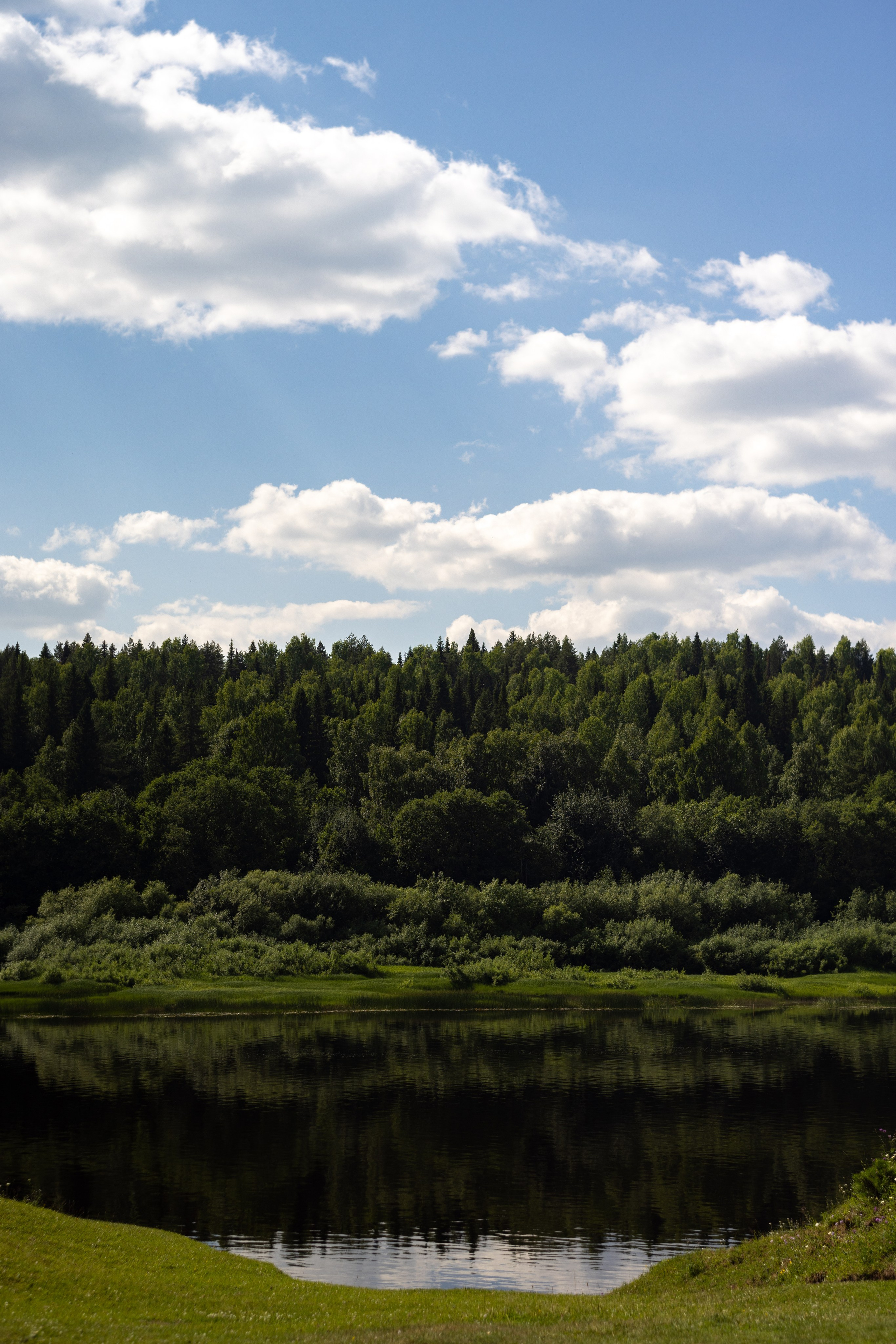 Природа. Фотограф в Эжве. Сыктывкар