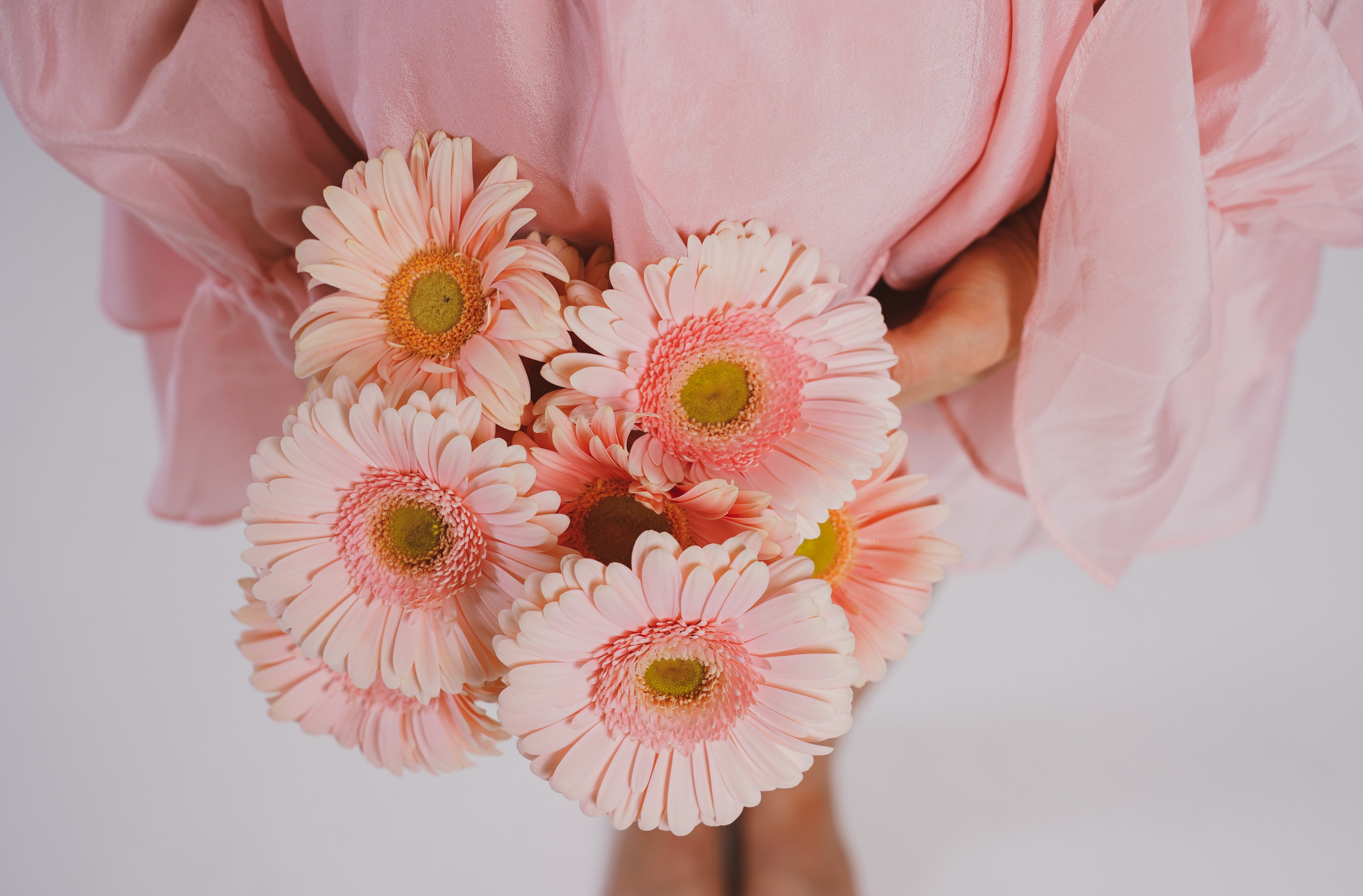 Портфолио. Leibstudio.ru