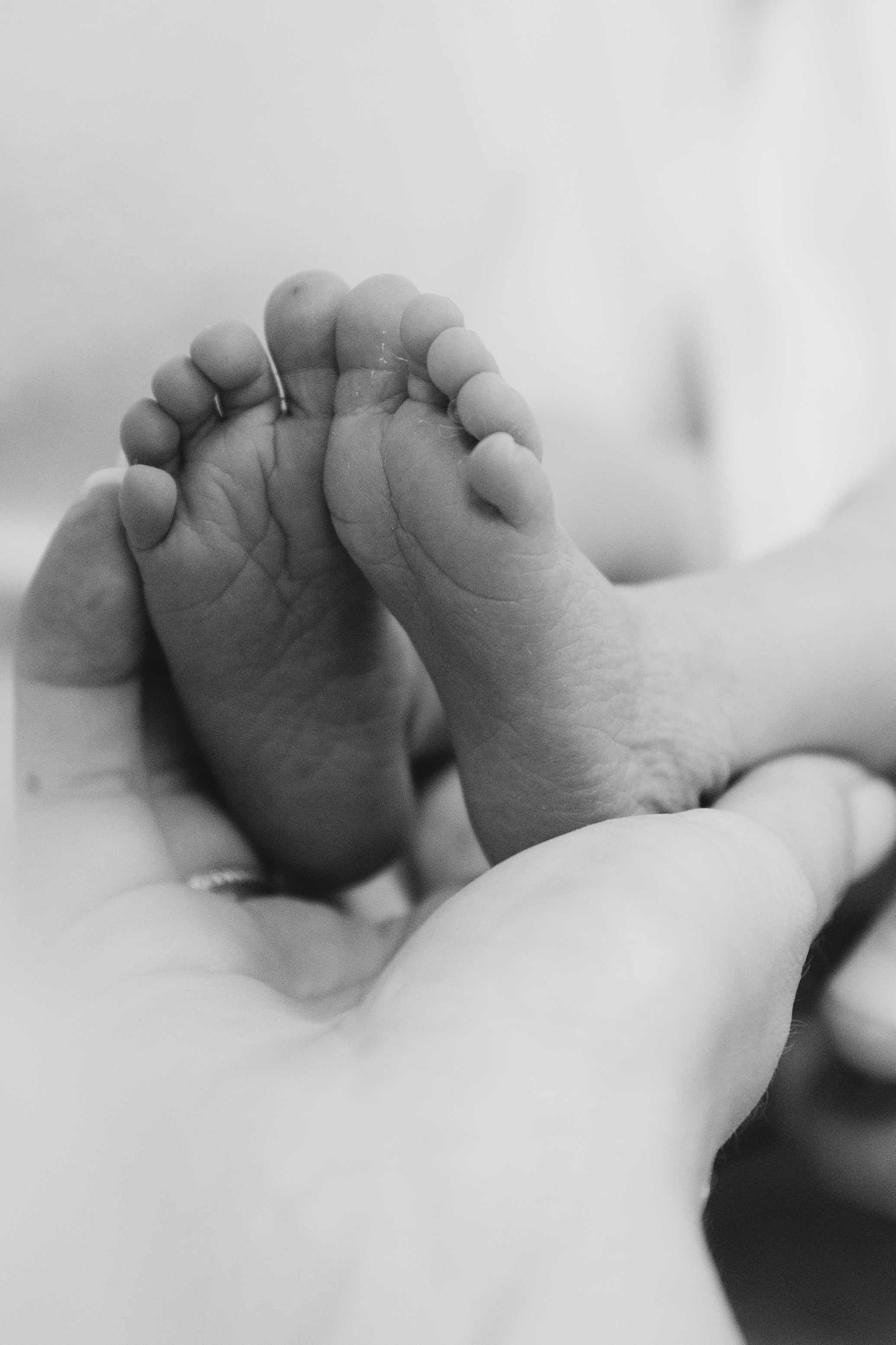 Фотограф на выписку из роддома Краснодар. Детский и семейный фотограф в Краснодаре и в станице Елизаветинская Олеся Стаценко