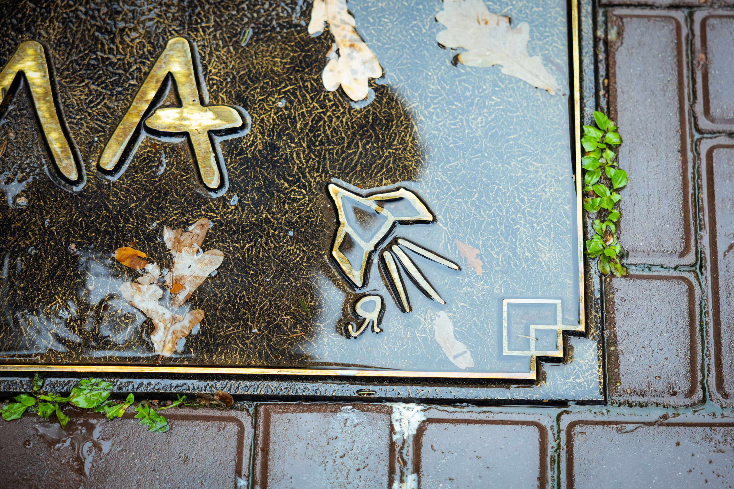 Казахстан (осень 2024). Фотограф Виноградов Константин