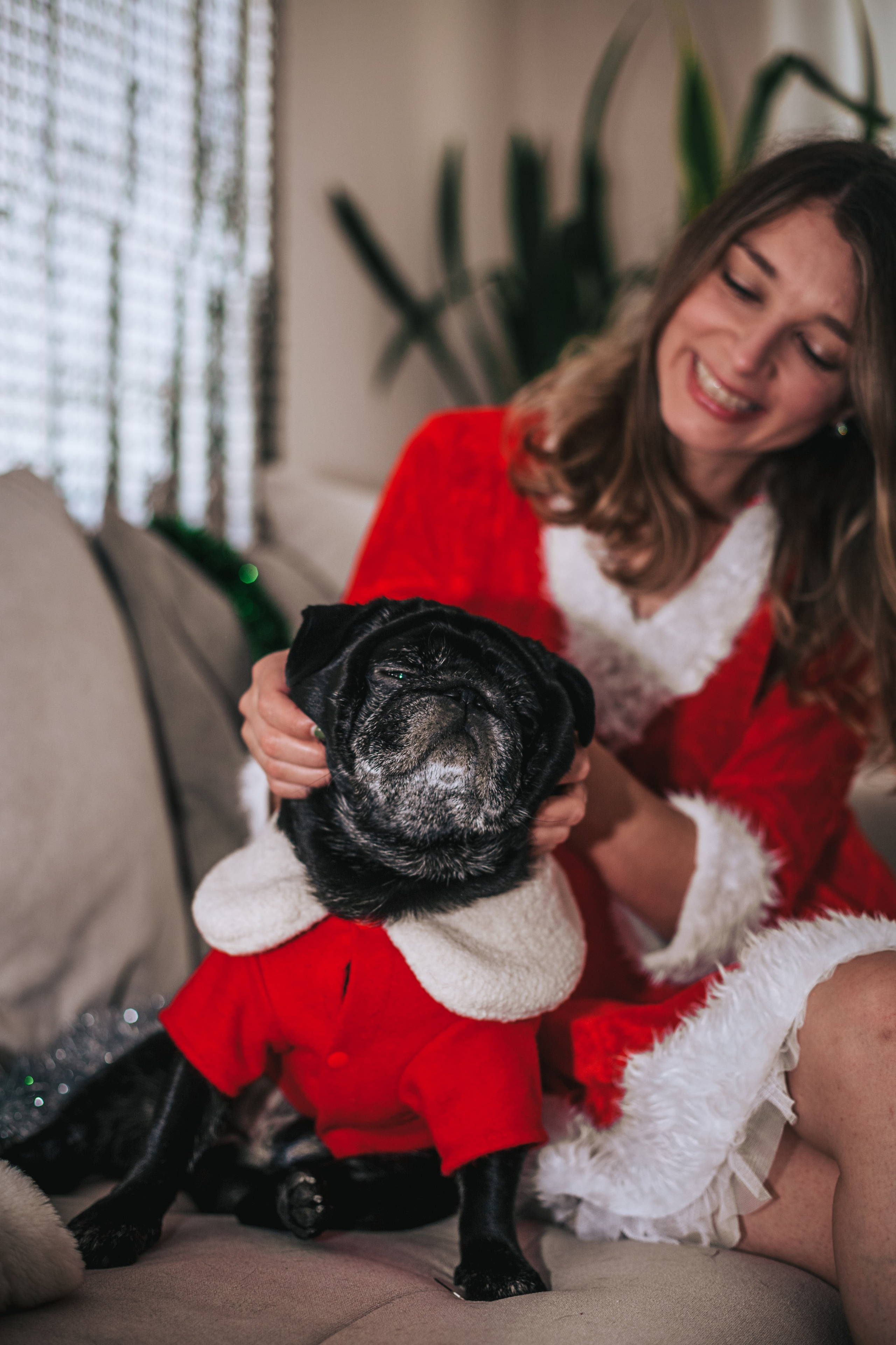 Домашняя фотосессия Оли и двух ее мопсов. Фотограф-анималист Татьяна Степанова