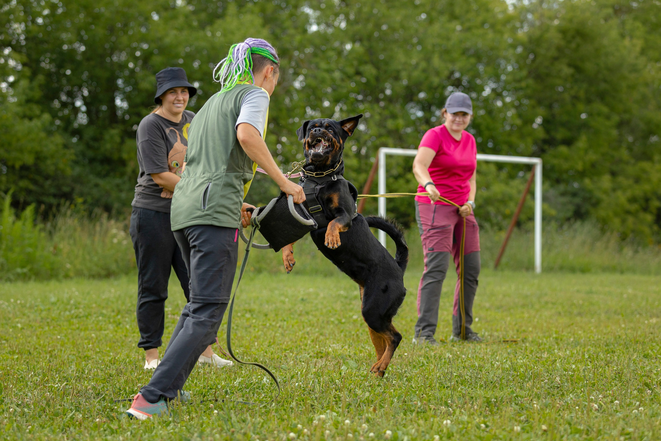 ЗКС. Фотограф анималист, семейный фотограф, фотограф собак Комратова Мария. г. Москва