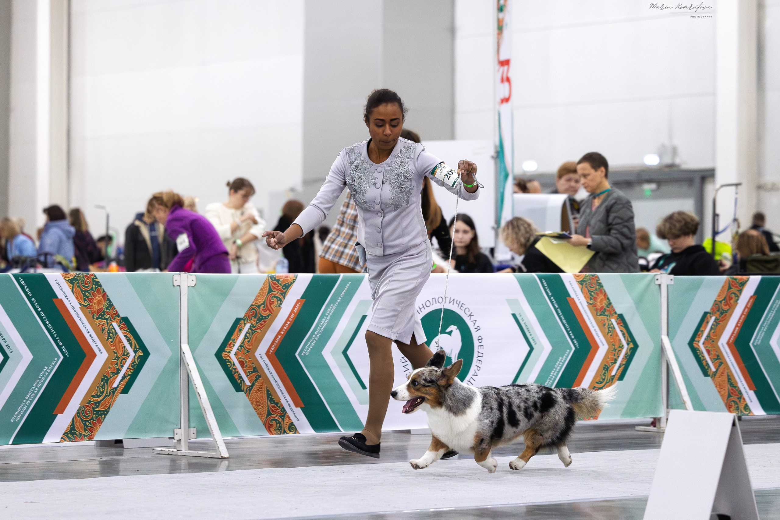 Евразия 2025 съемка в ринге на выставке собак, фотограф собак на выставке. Фотограф анималист, семейный фотограф, фотограф собак Комратова Мария. г. Москва