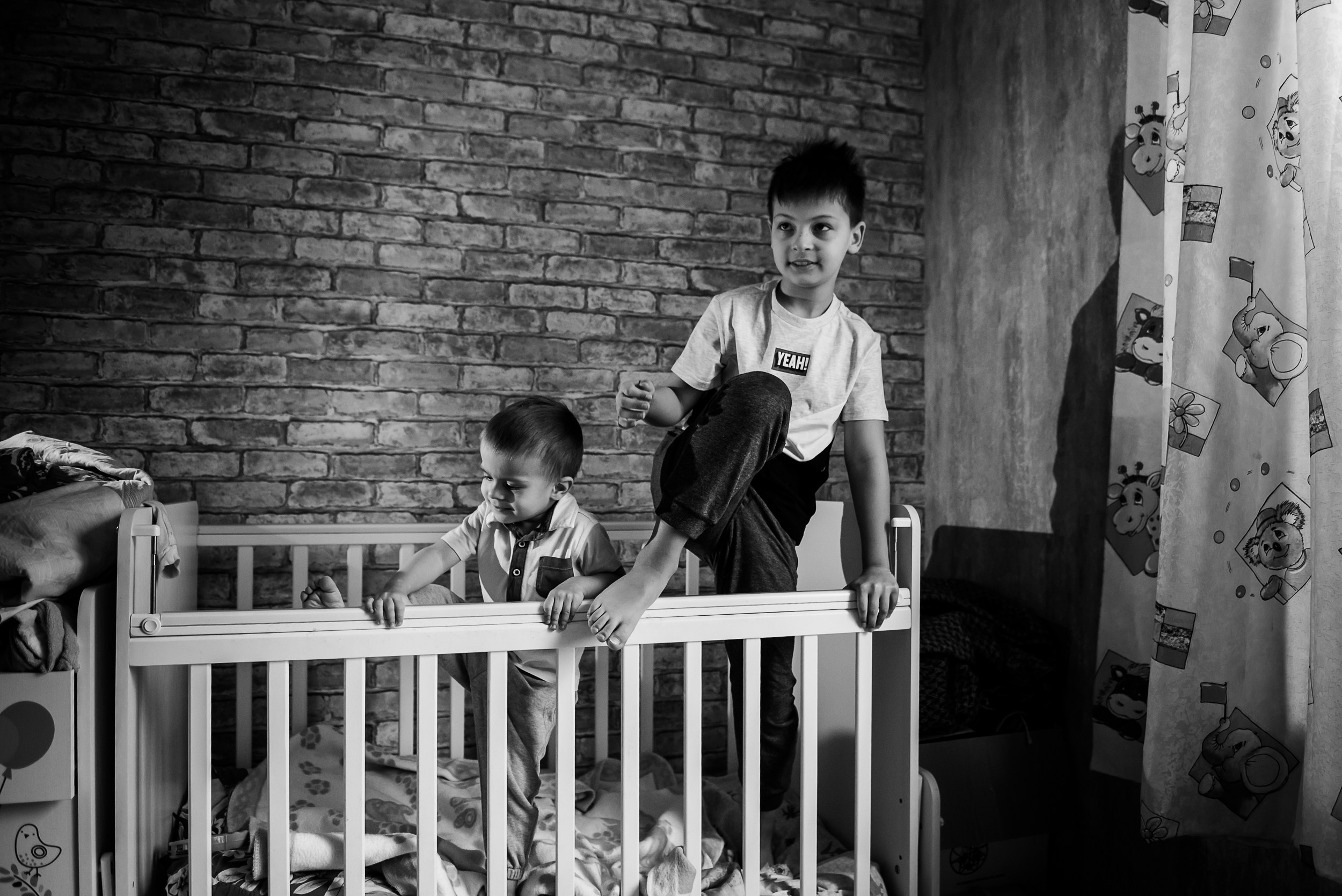 Оля, бигли и семья. Семейный Фотограф в Москве Ирина Хохлова