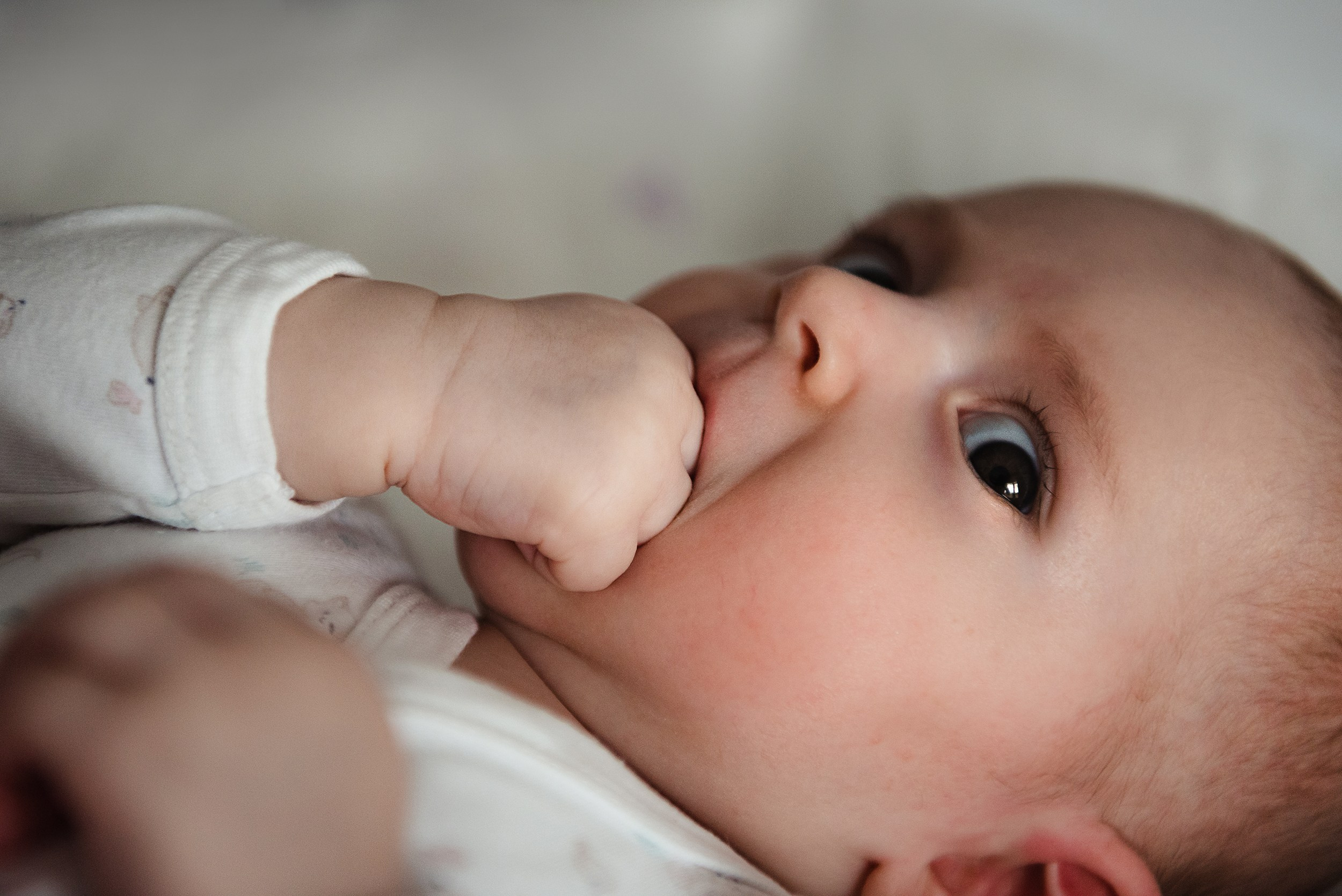 Алена, Виктор, Оливка и Ластик. Семейный Фотограф в Москве Ирина Хохлова
