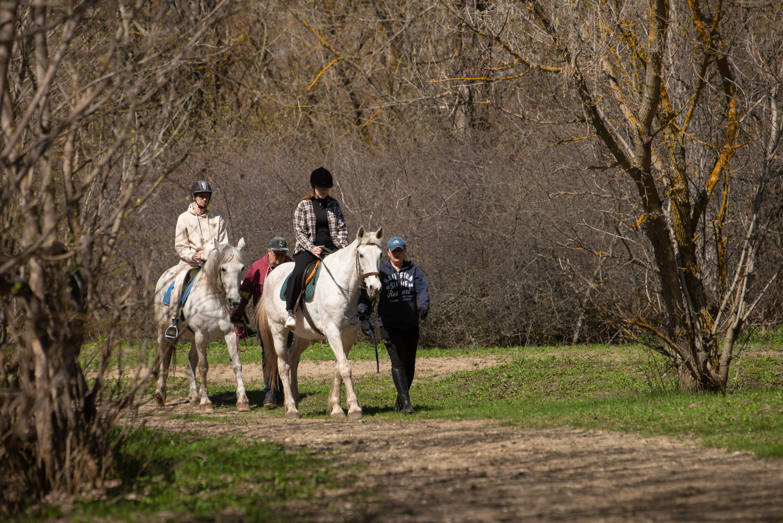 Прогулка. Конный фотограф в Саратове Юлия Иванова