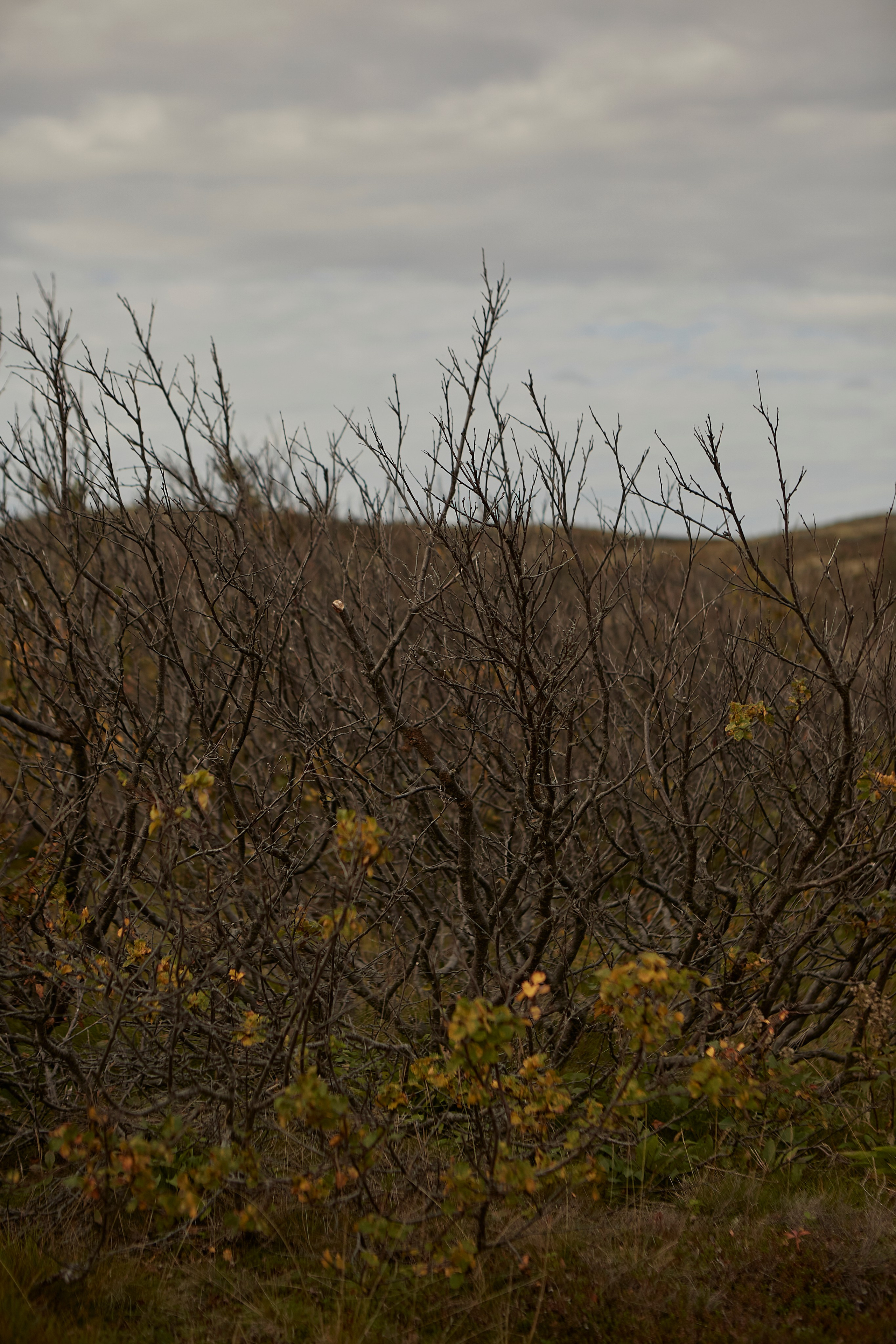 Ульяна. Анастасия Зобнинá — фотограф в Санкт-Петербурге/СПб