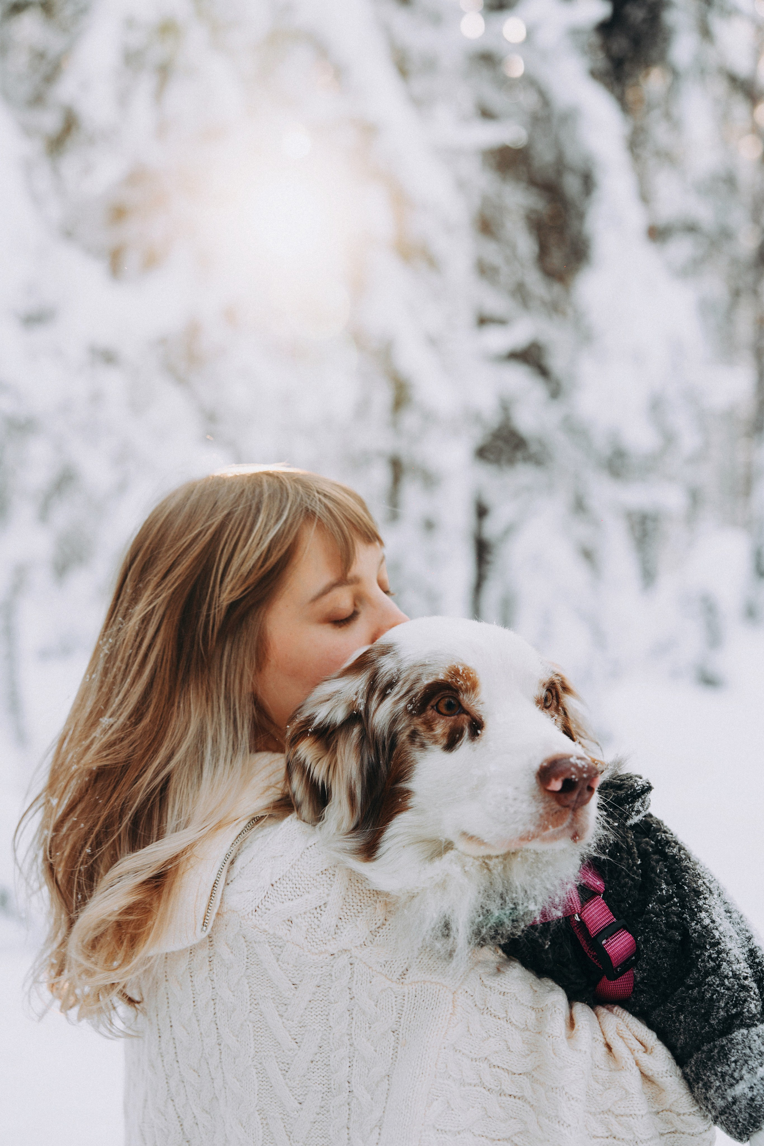 Хвостики. Главная