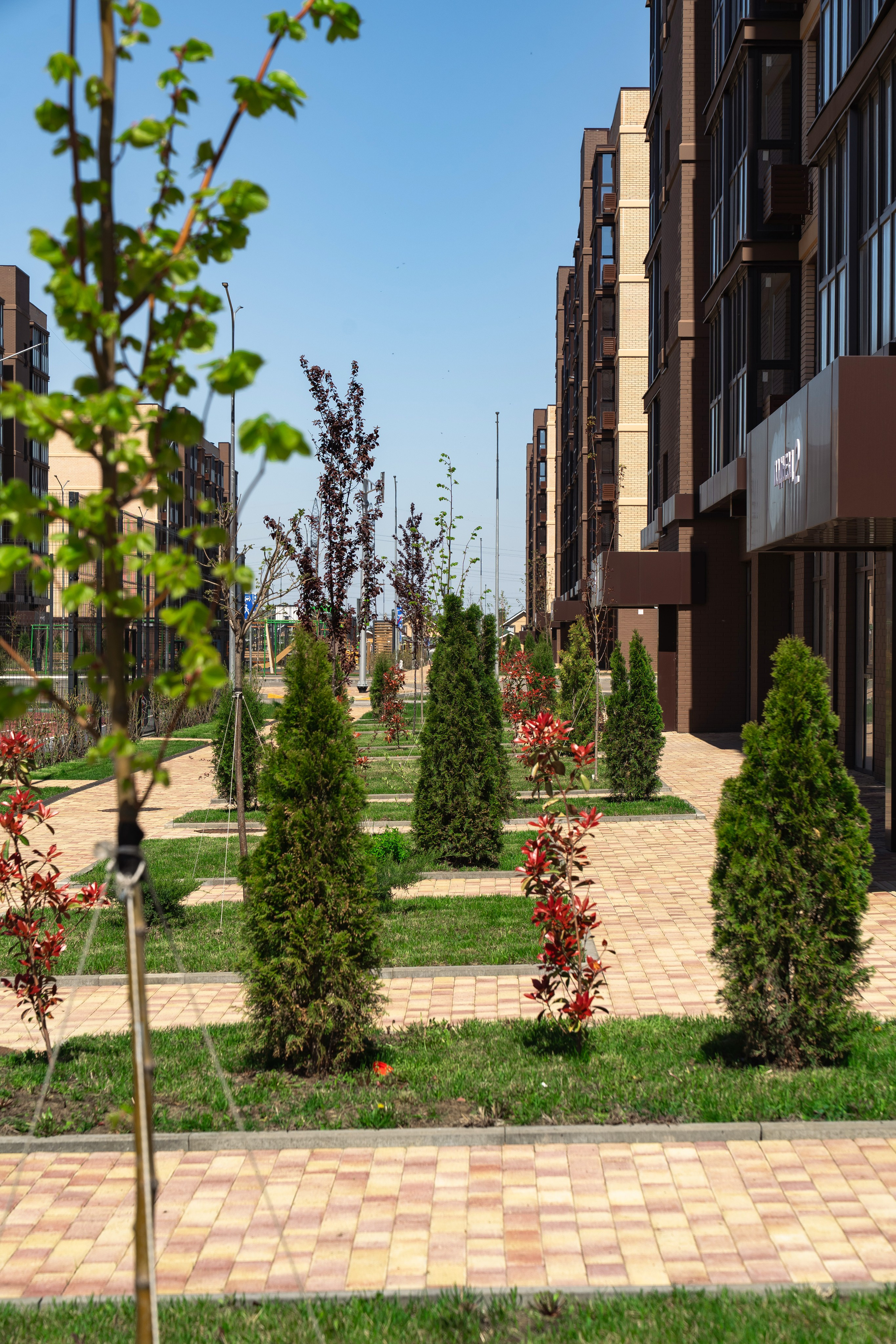 НВМ- История 2. Создаю контент для бизнеса- Андрей Корниенко и упаковываю компании и экспертов в Краснодаре