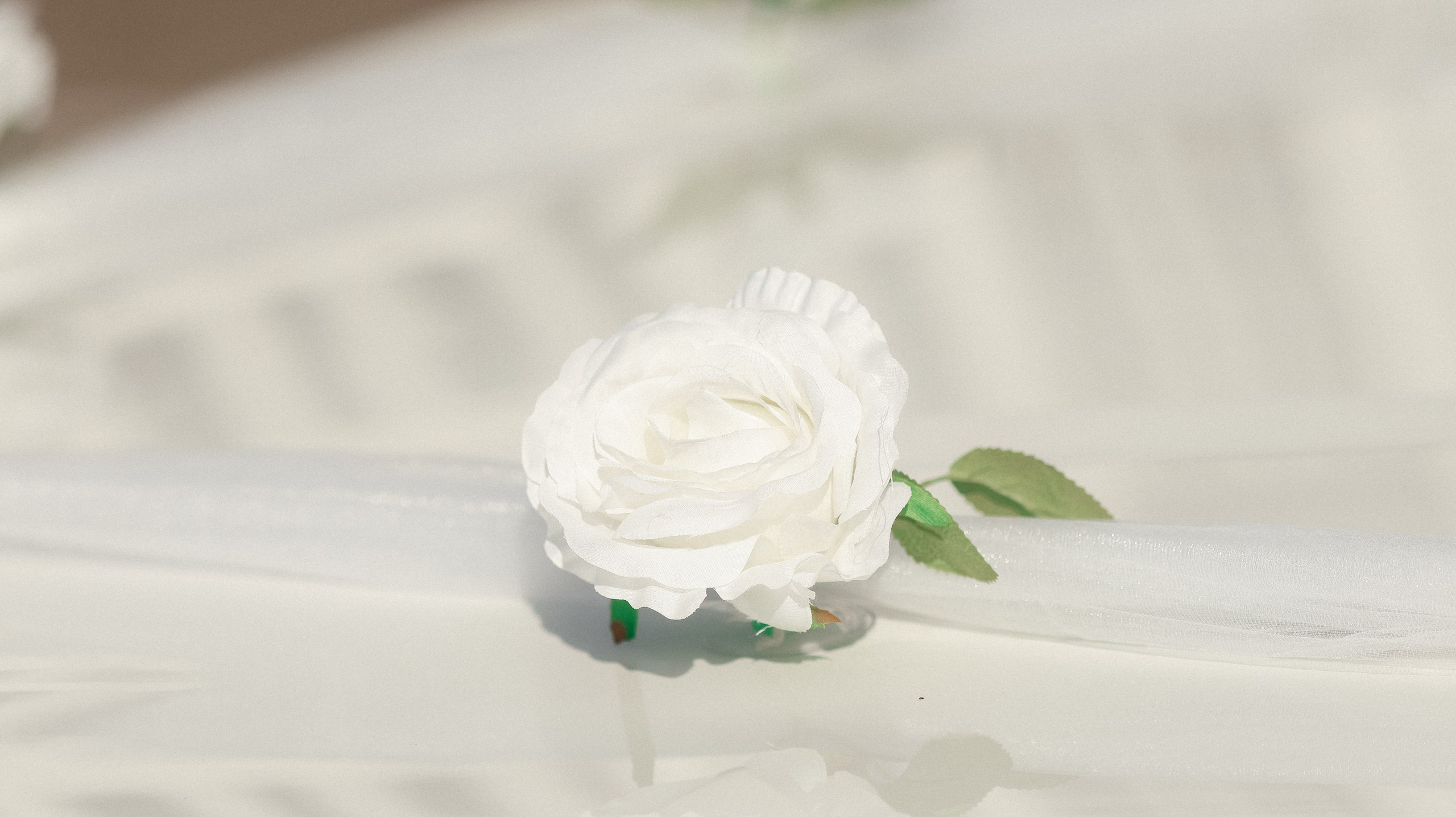 Сергей и Наталья. Свадебный и репортажный фотограф Дмитрий Кононенко