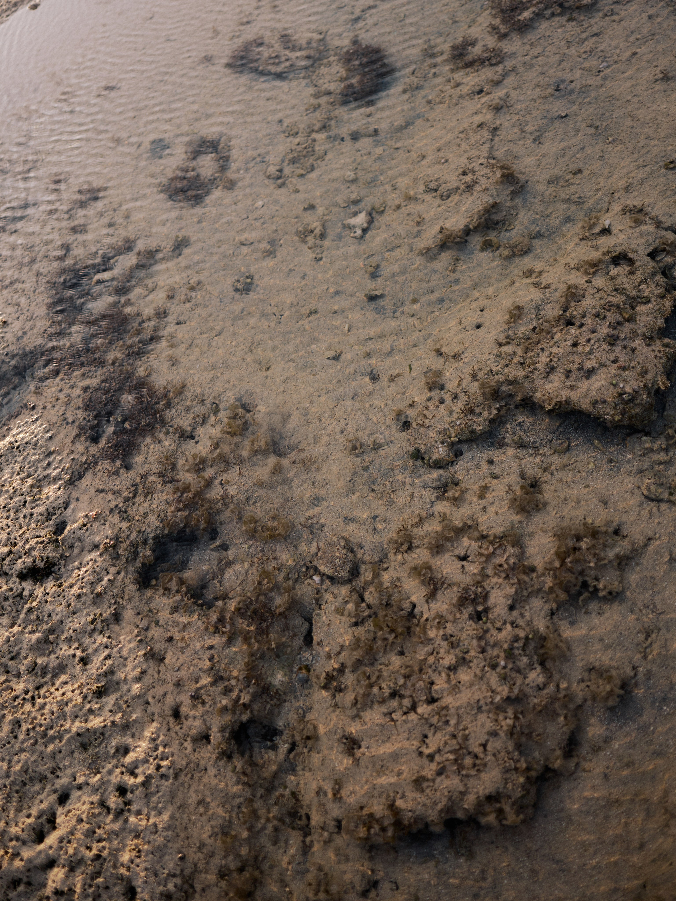 Другое 3. Jorgis Talè — photographer, kind person, teacher of arts and other mag