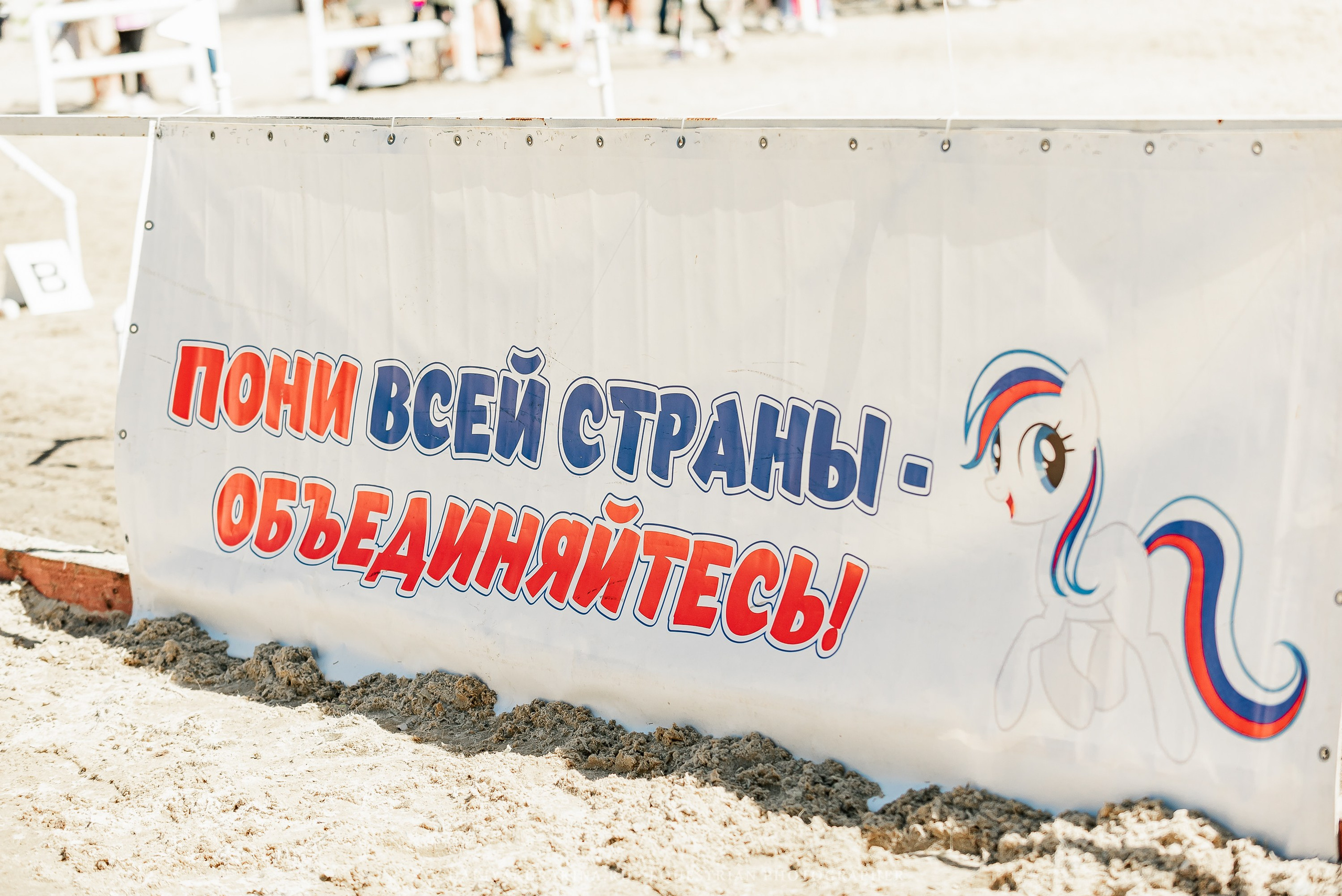 #ПОНИФОРУМ 2024. Конный фотограф Куракина Дарья • Фотосессии с лошадьми