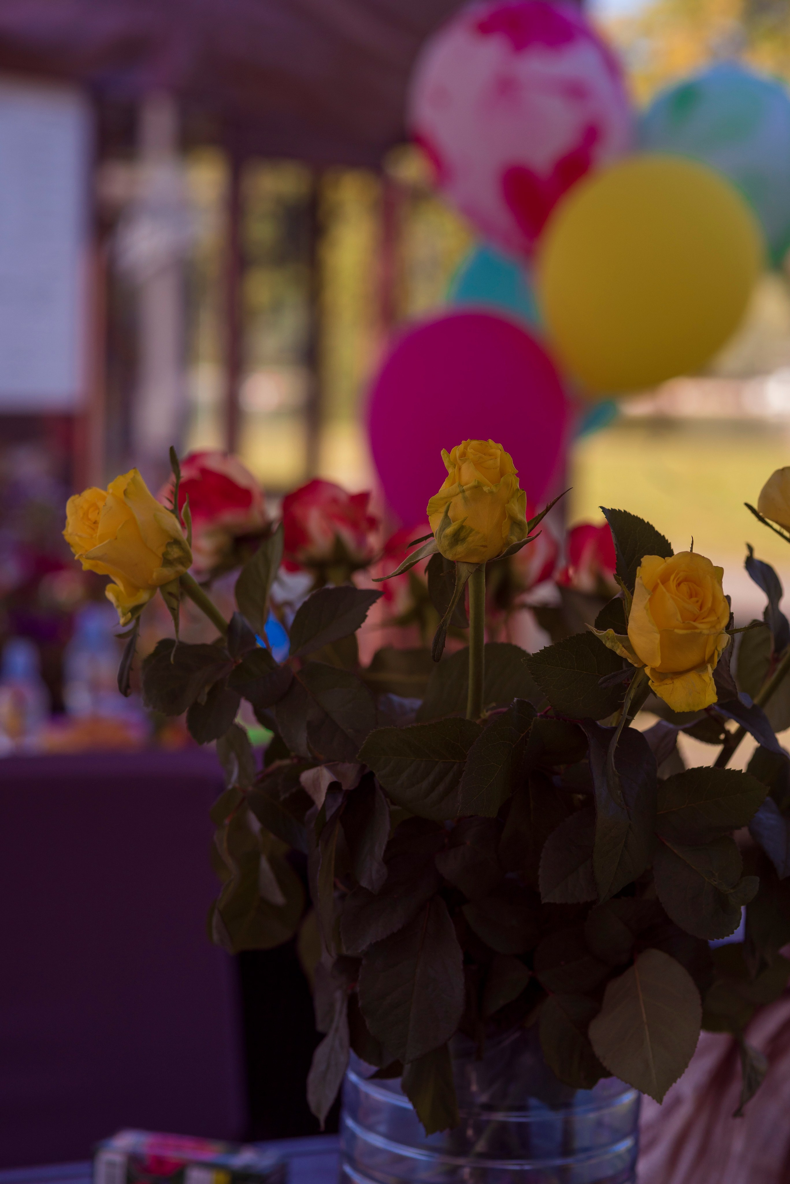 Александра 5 лет. Фотограф Крещения и Венчания. Минск и другие города. Почтенная Наташа