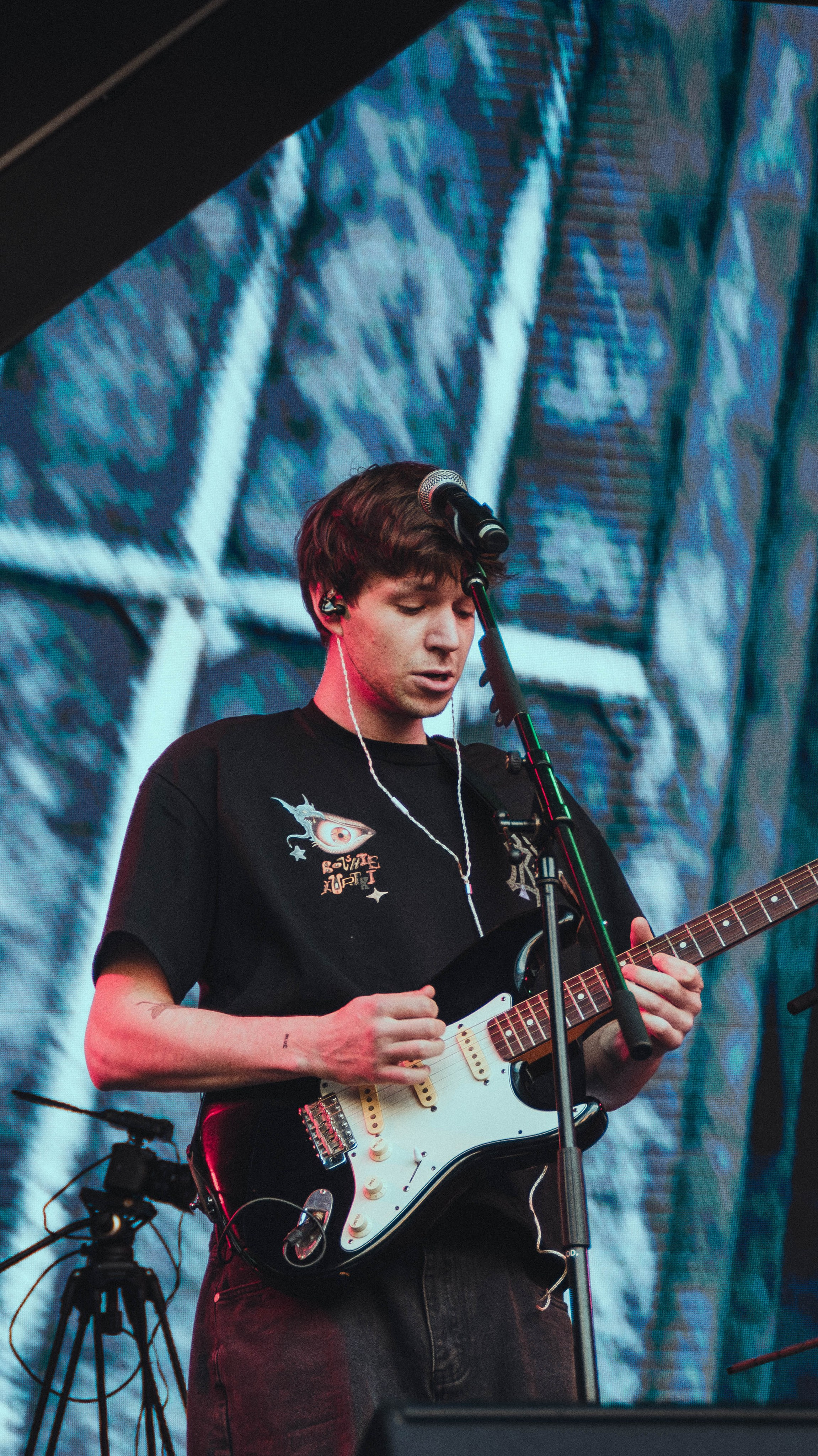 SALUKI. Фотограф montefrioree