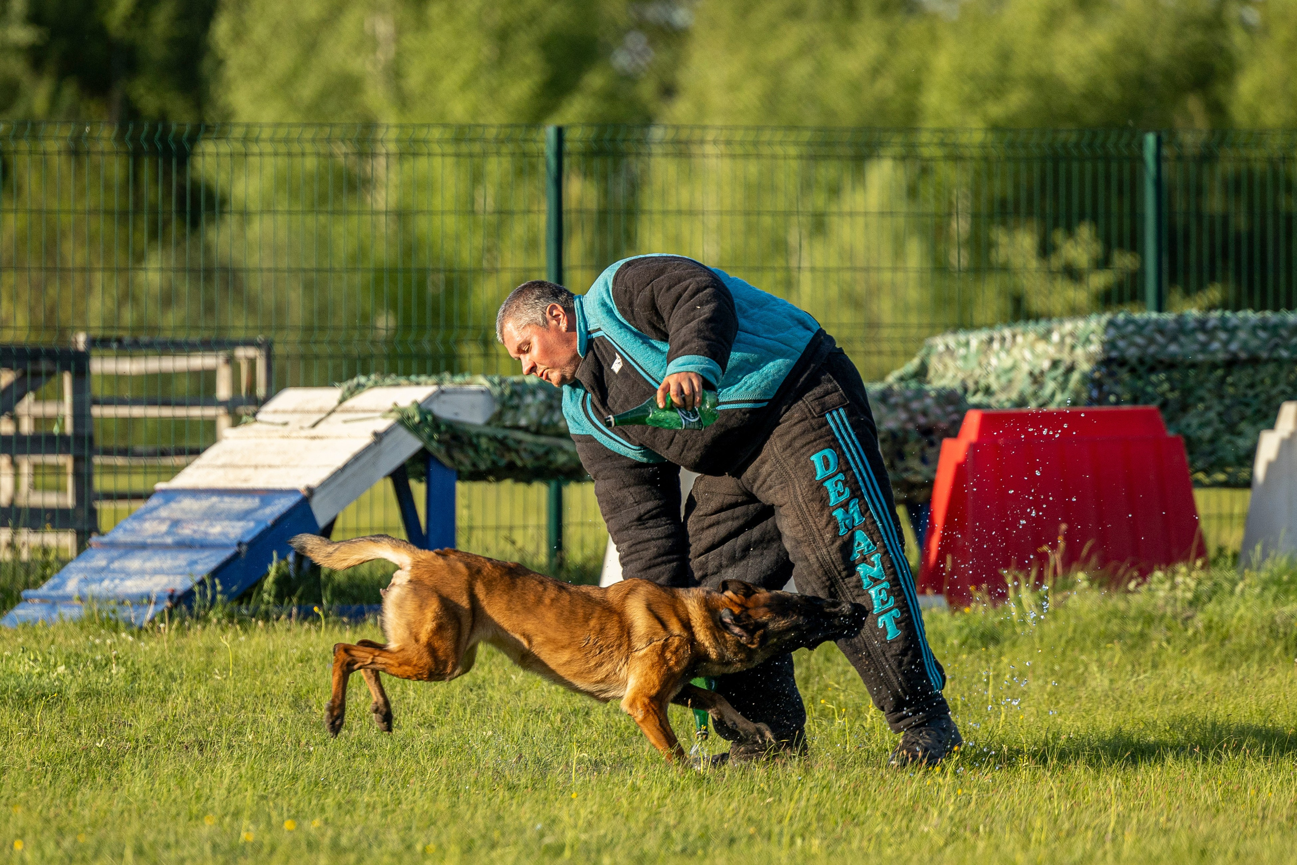 Испытания по мондьорингу в Нижнем Новгороде. Фотограф-анималист Анна Маринич