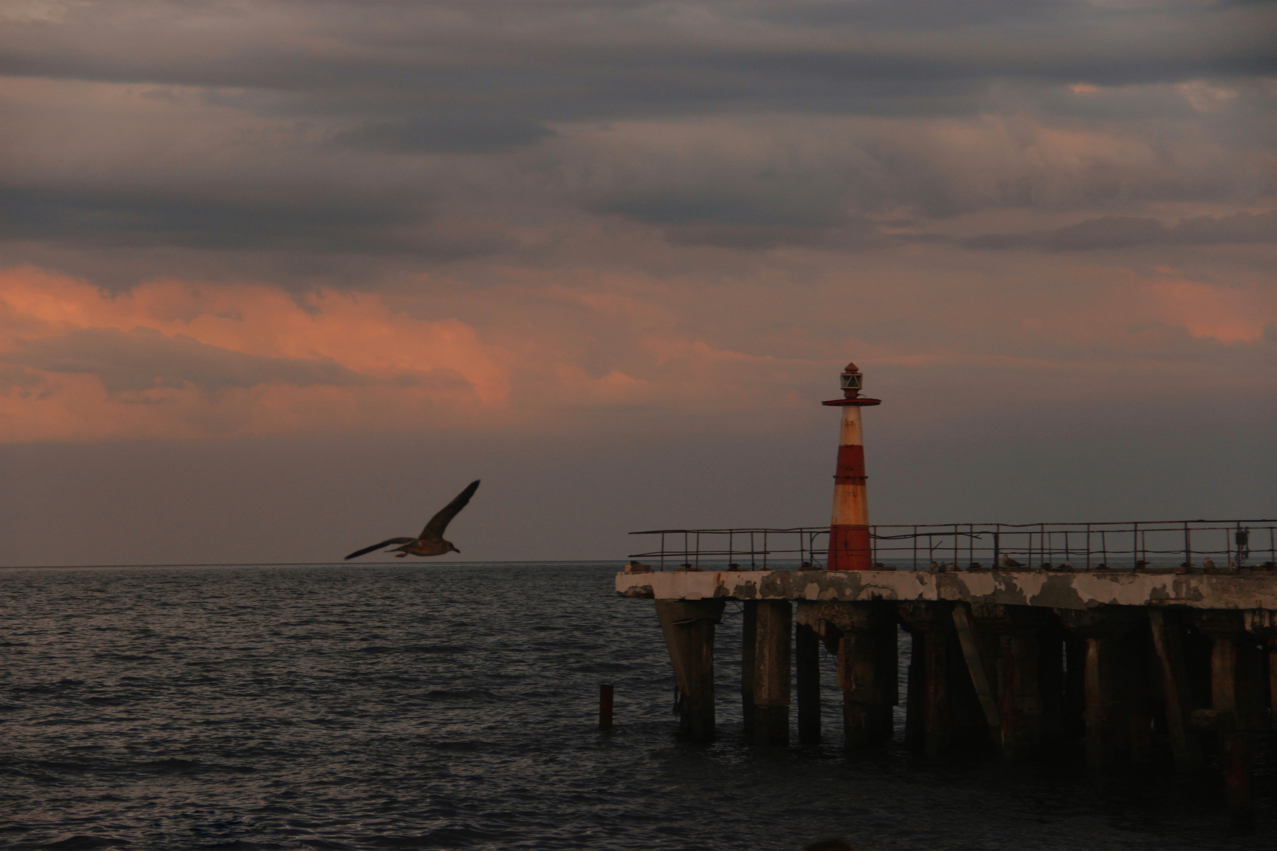 Крым. Фотограф и видеограф в Санкт-Петербурге