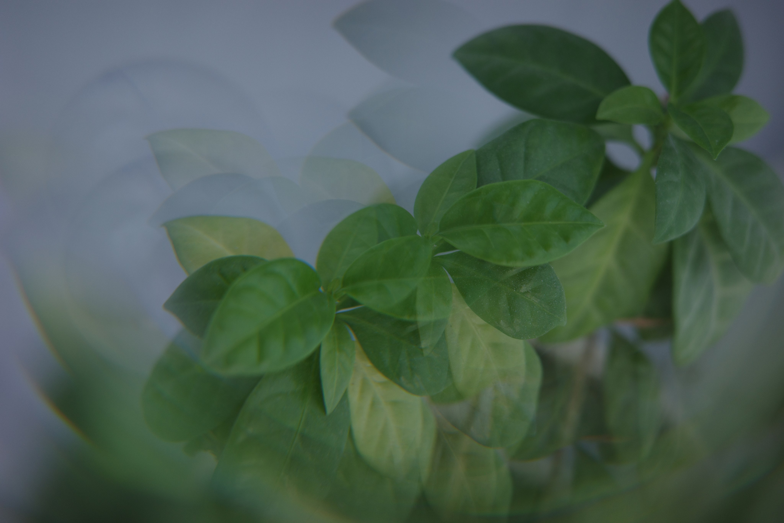 Призма 💎. Миша Печёнкин | фотография