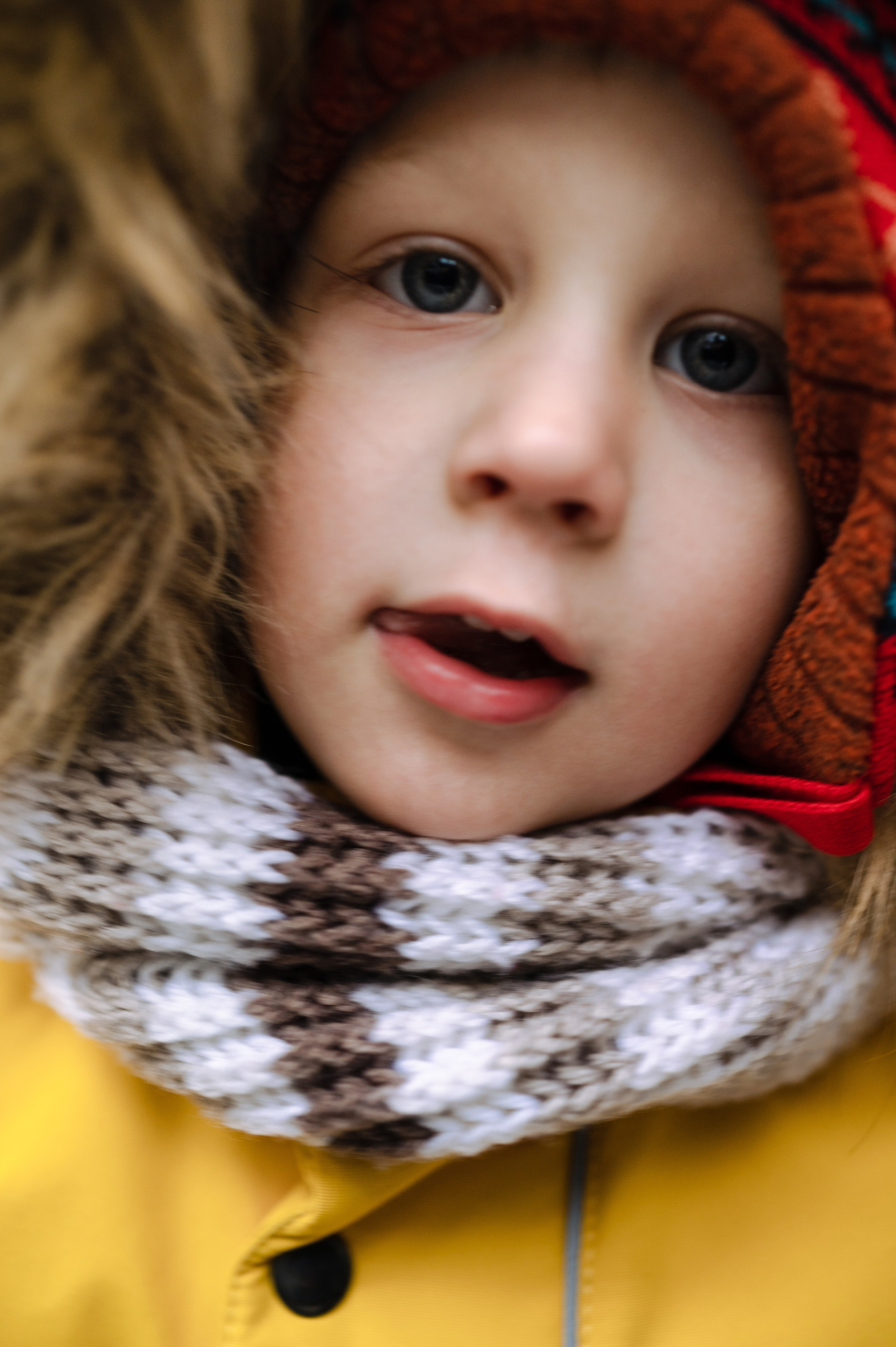 Григорьевы, Shalash and Forest. Фотограф Красноярск Екатерина Карпеза