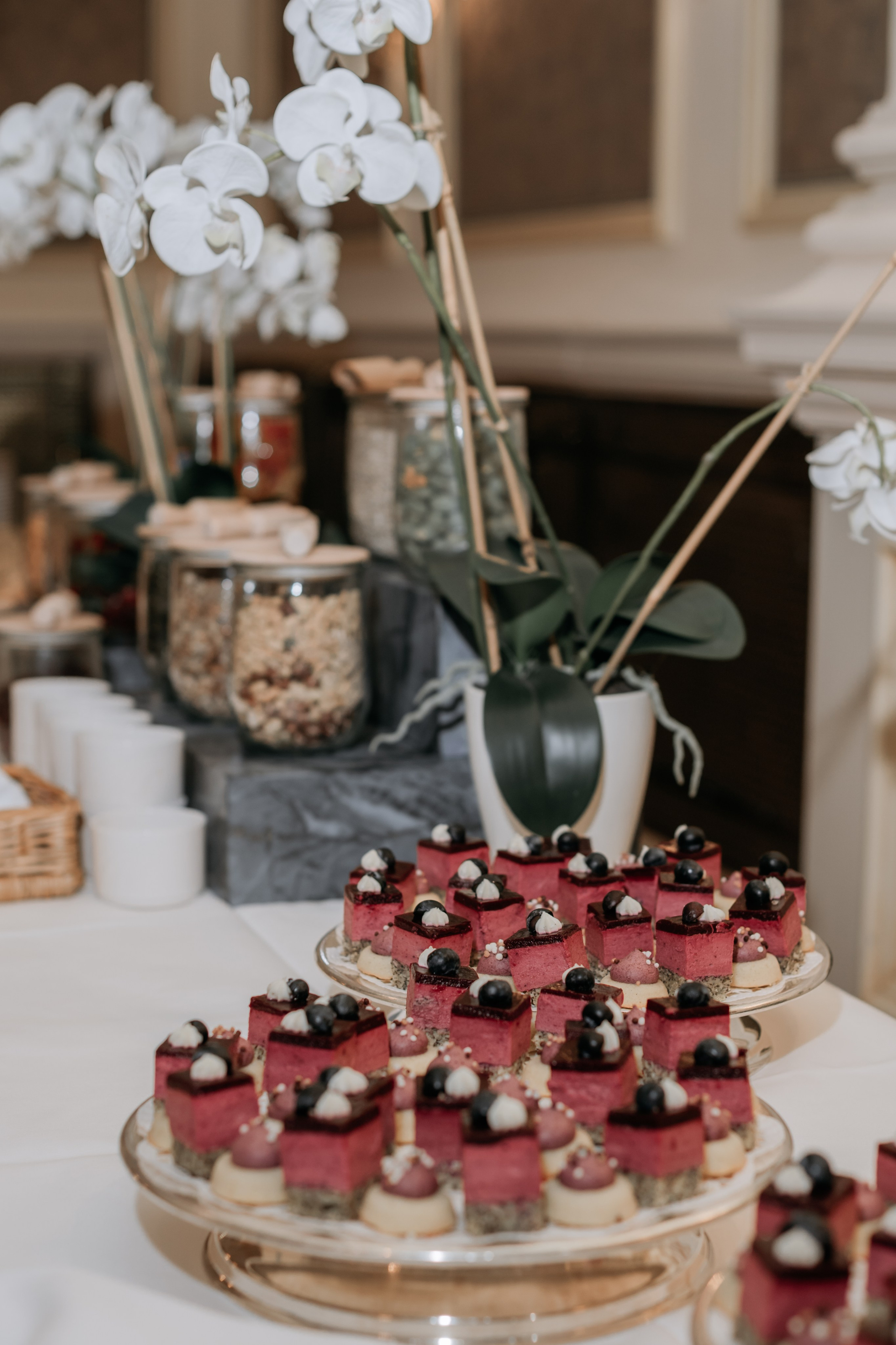 Women’s Business Networking Event. Fotographer in Vienna Ksenia Mart