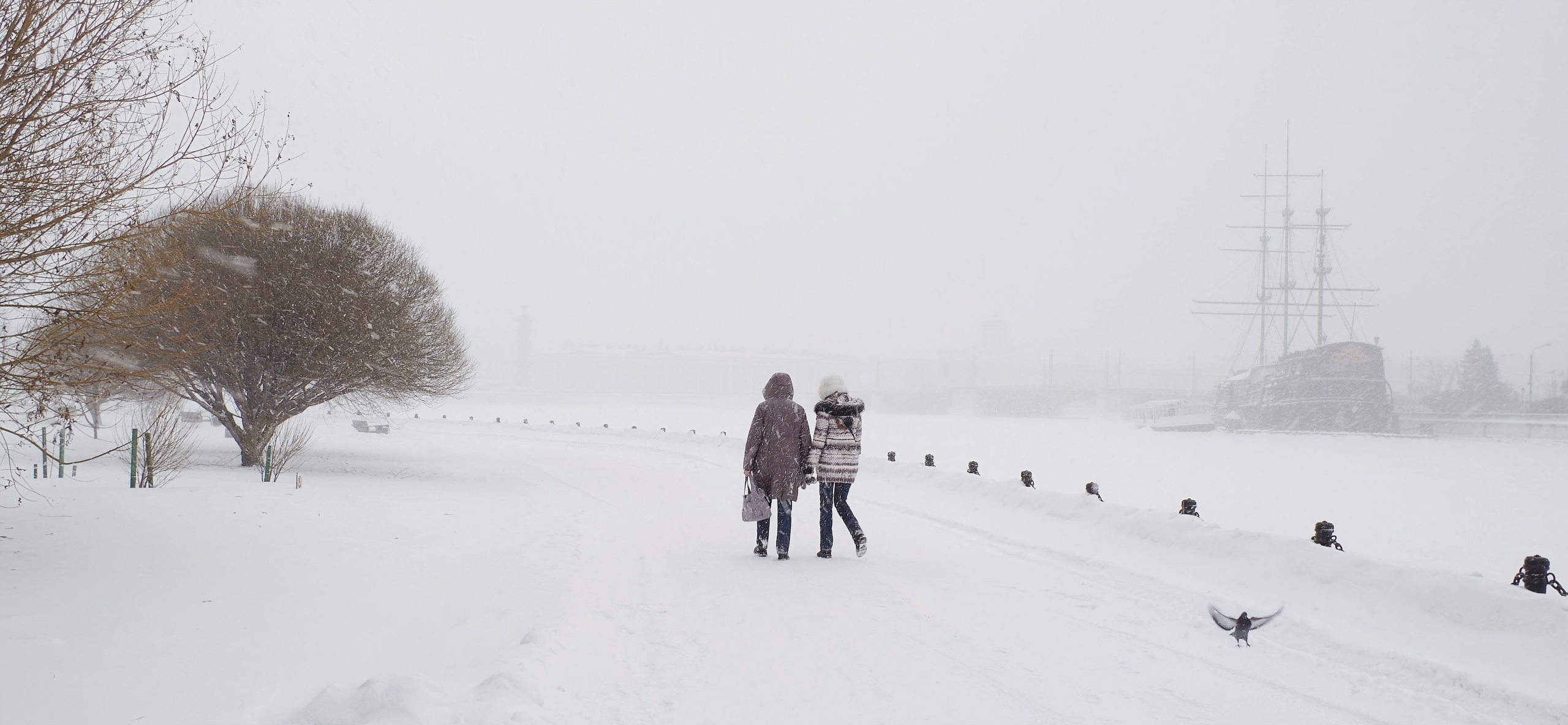 Петропавловская крепость. Вадим Шейдин