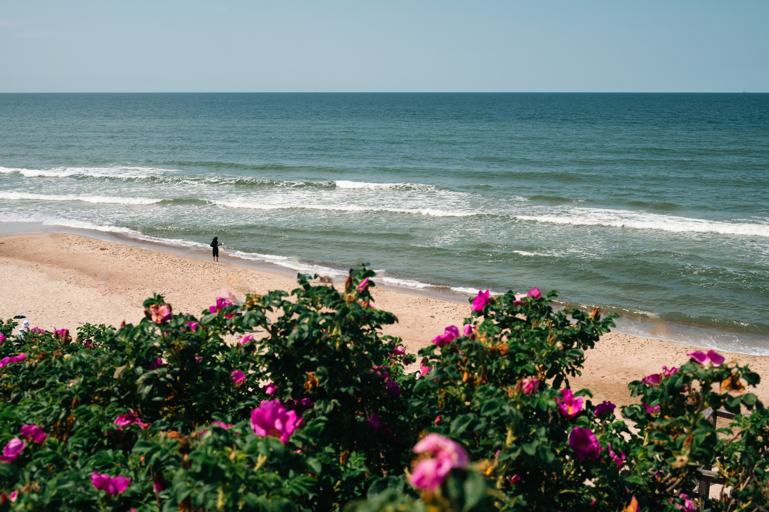Куршская коса. Фотограф и видеооператор в Туле | Даниил Рыбак