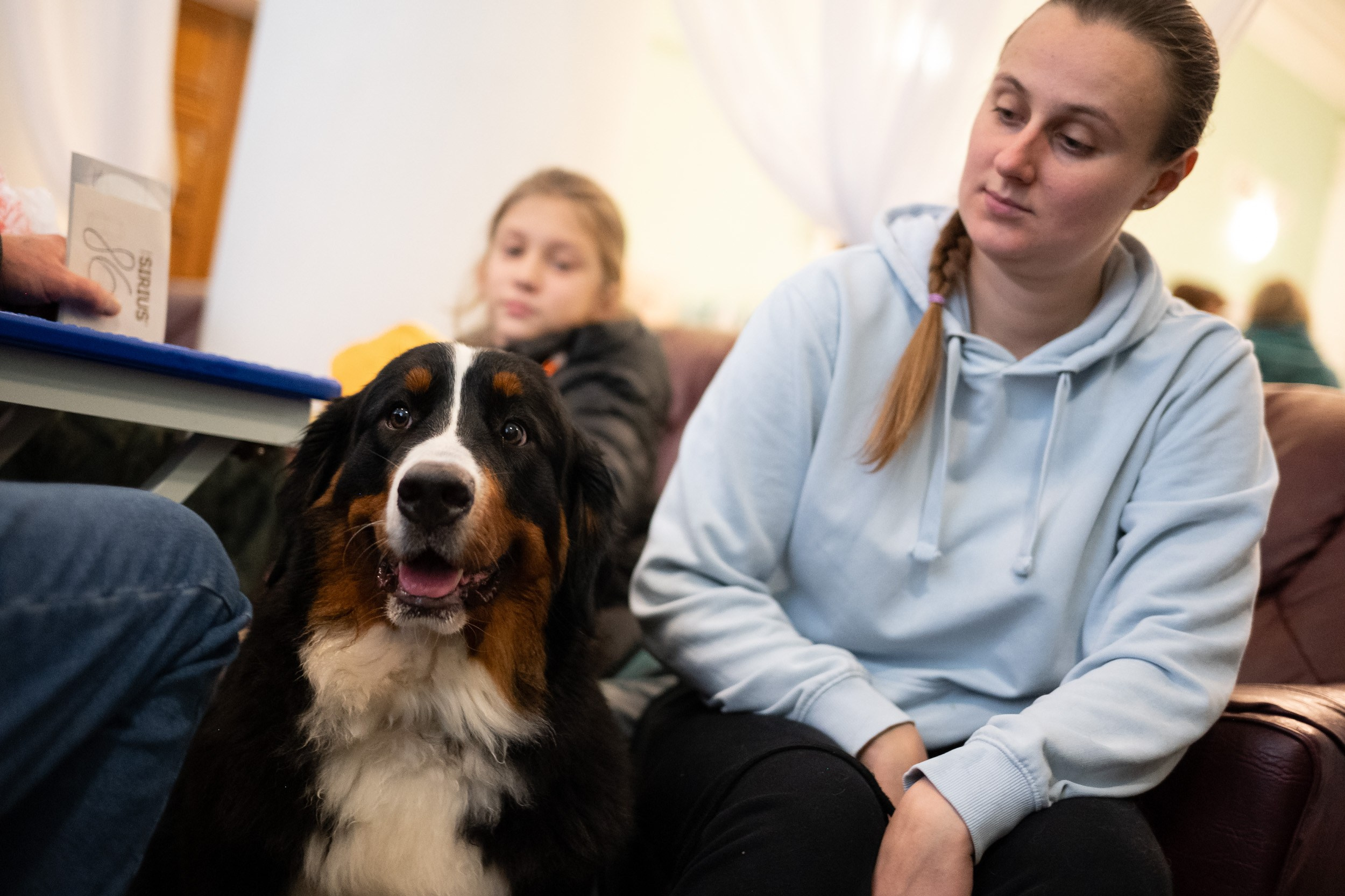 Выставка собак. Фотограф и видеооператор в Туле | Даниил Рыбак