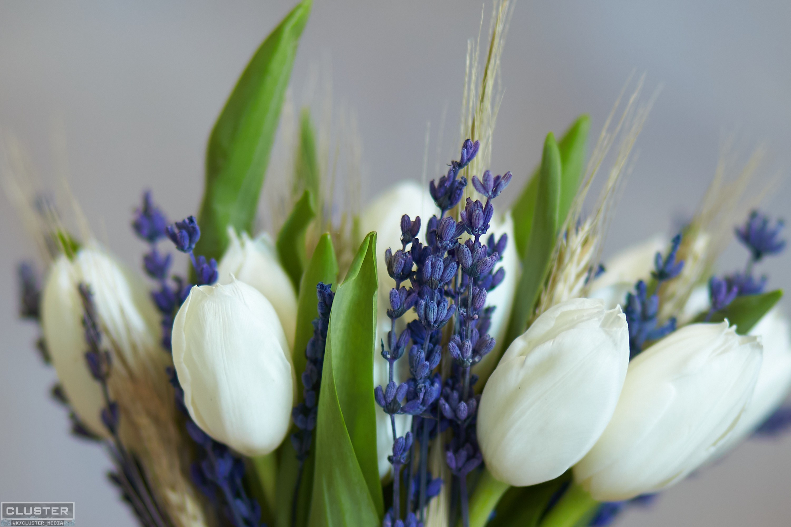 Лада и Алексей