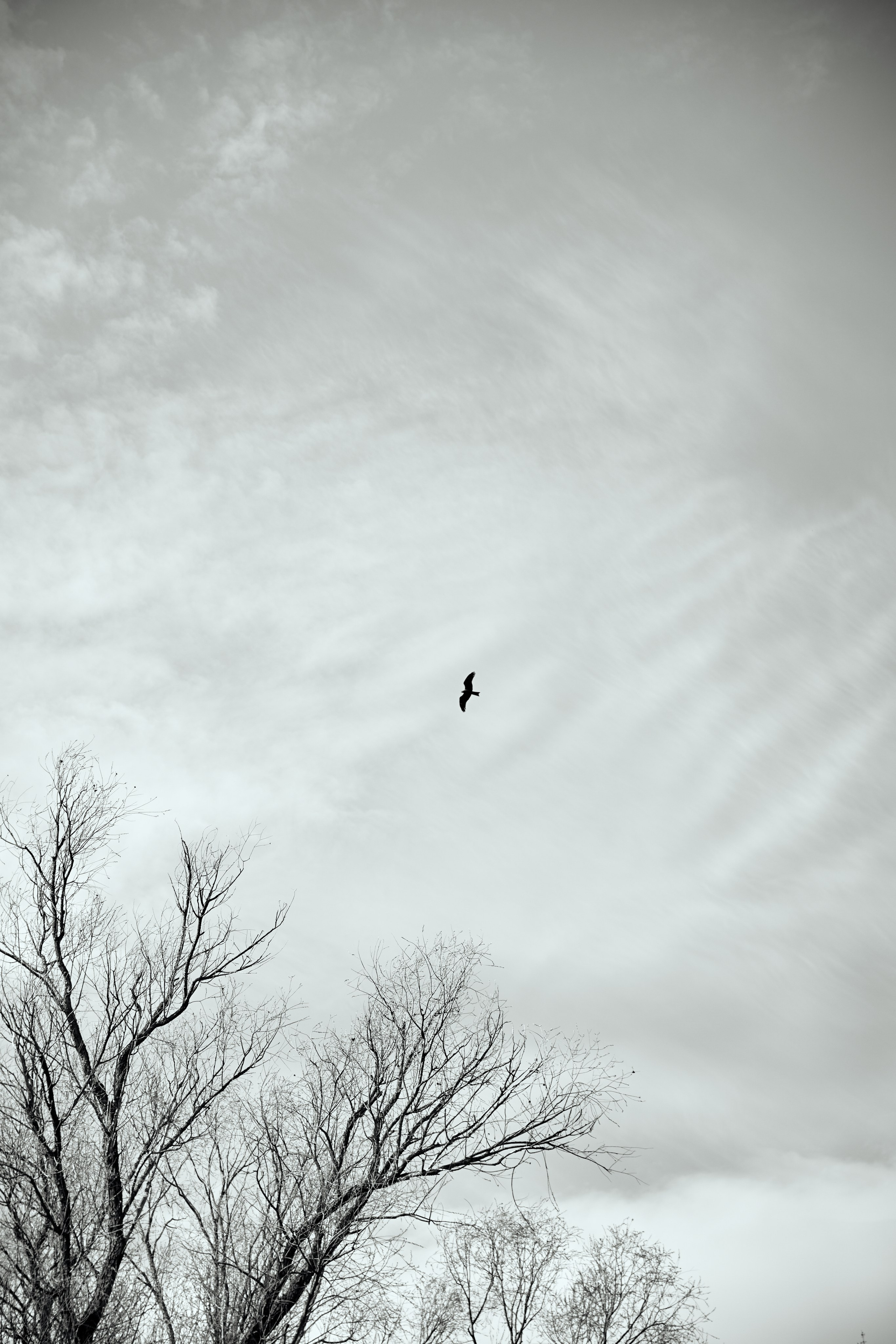 Лада в топях. Фотограф в Самаре Анастасия Афанасьева