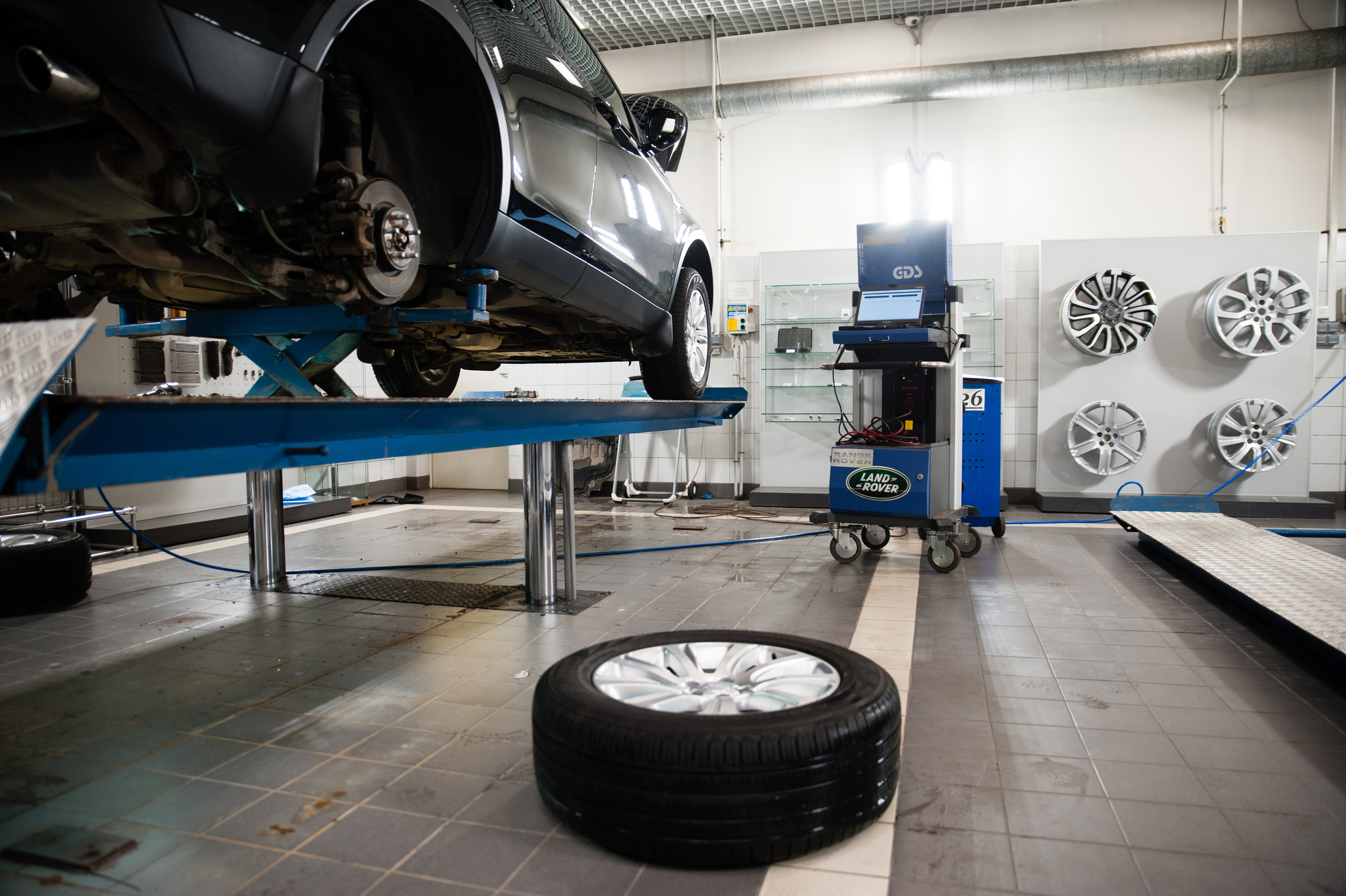 Артекс. Профессиональный фотограф в Москве Александра Харламова