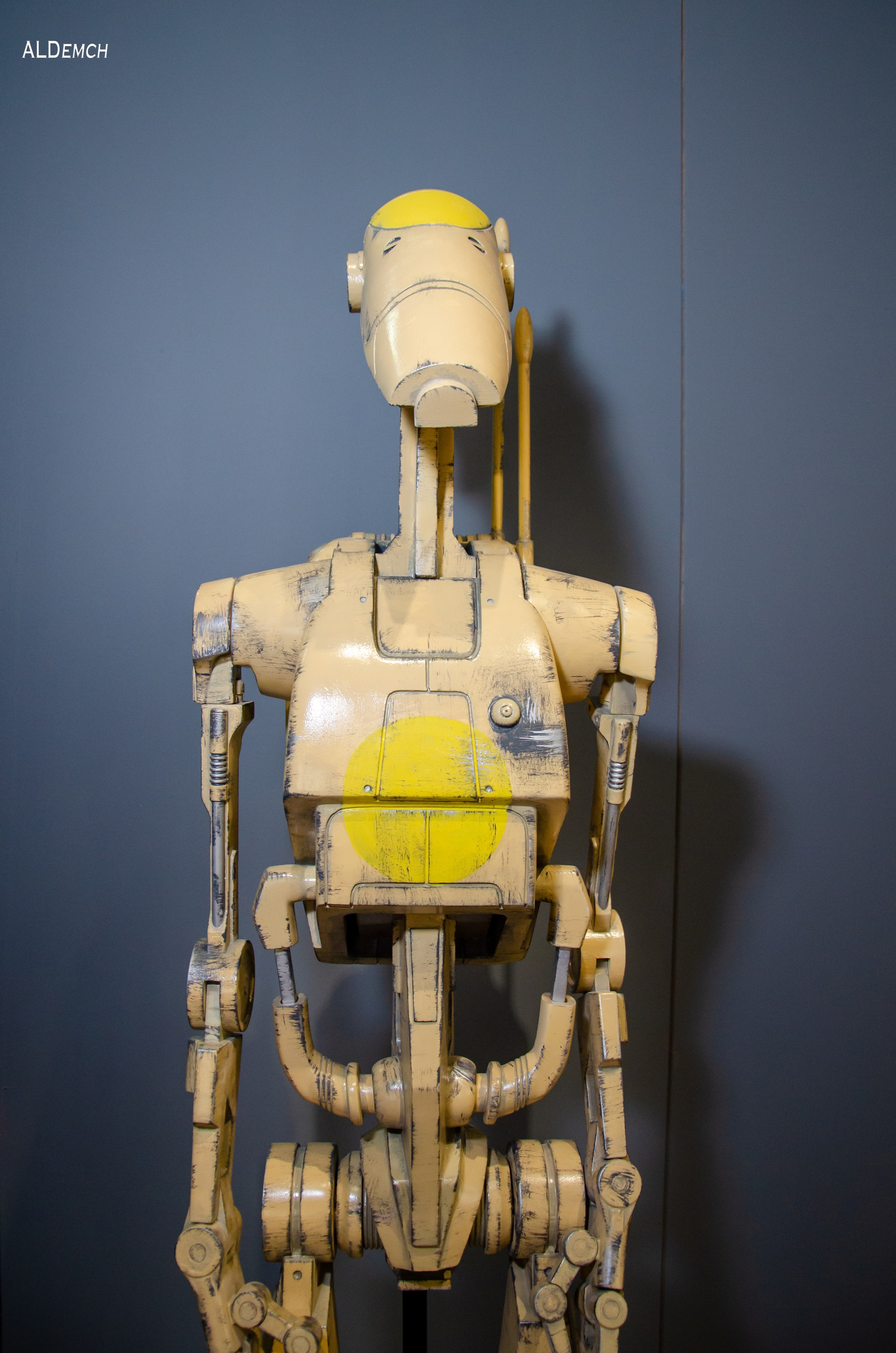 Фотосессия на ВДНХ косплей выставки по звёздным войнам