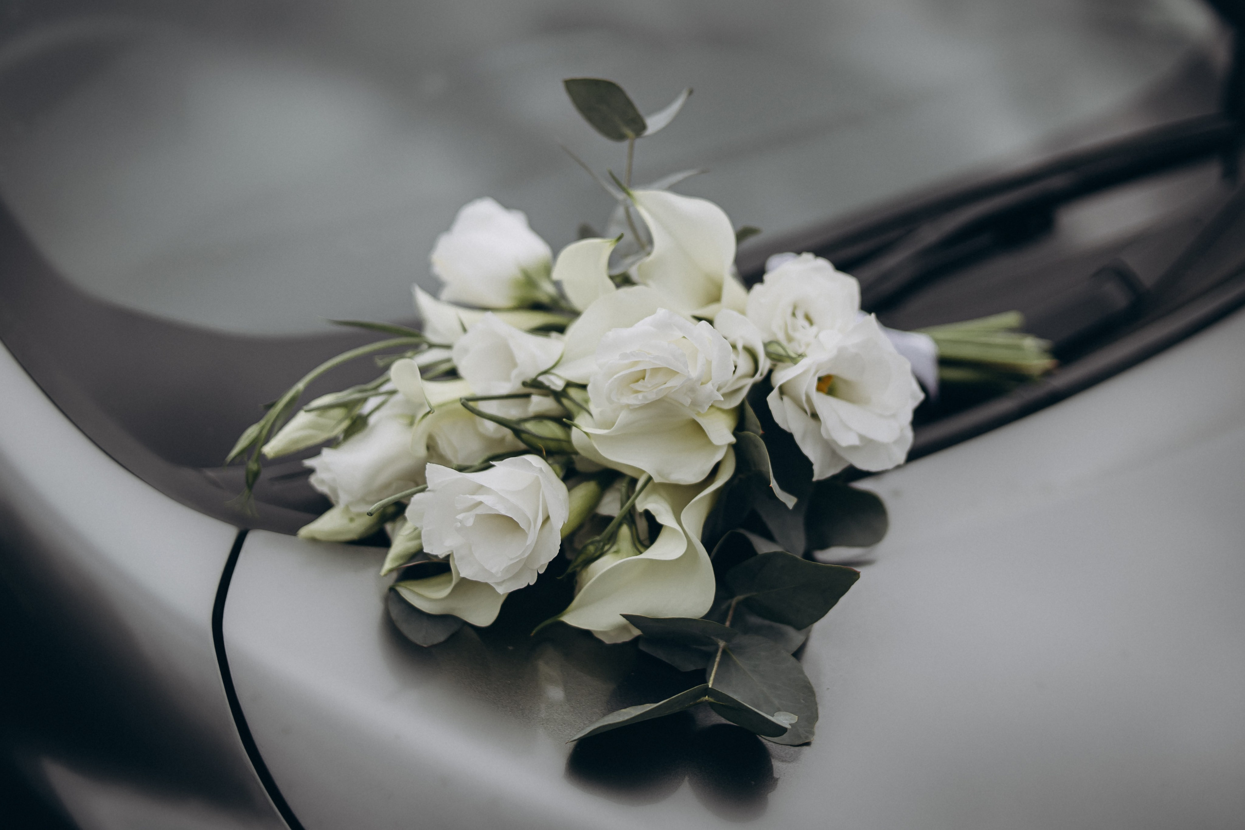 Артём и Елизавета. Фотограф Регина Крикунова г. Красноярск