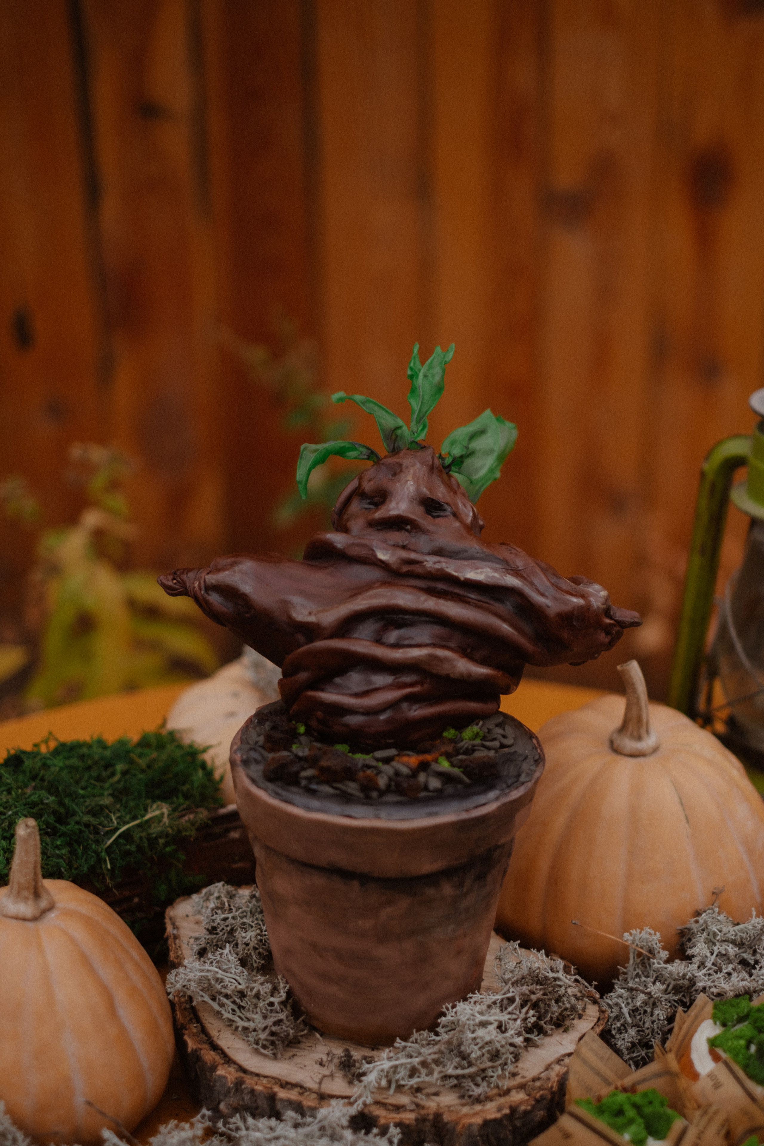 Семья. Свадебный и семейный фотограф г. Волгоград Биленко Ангелина