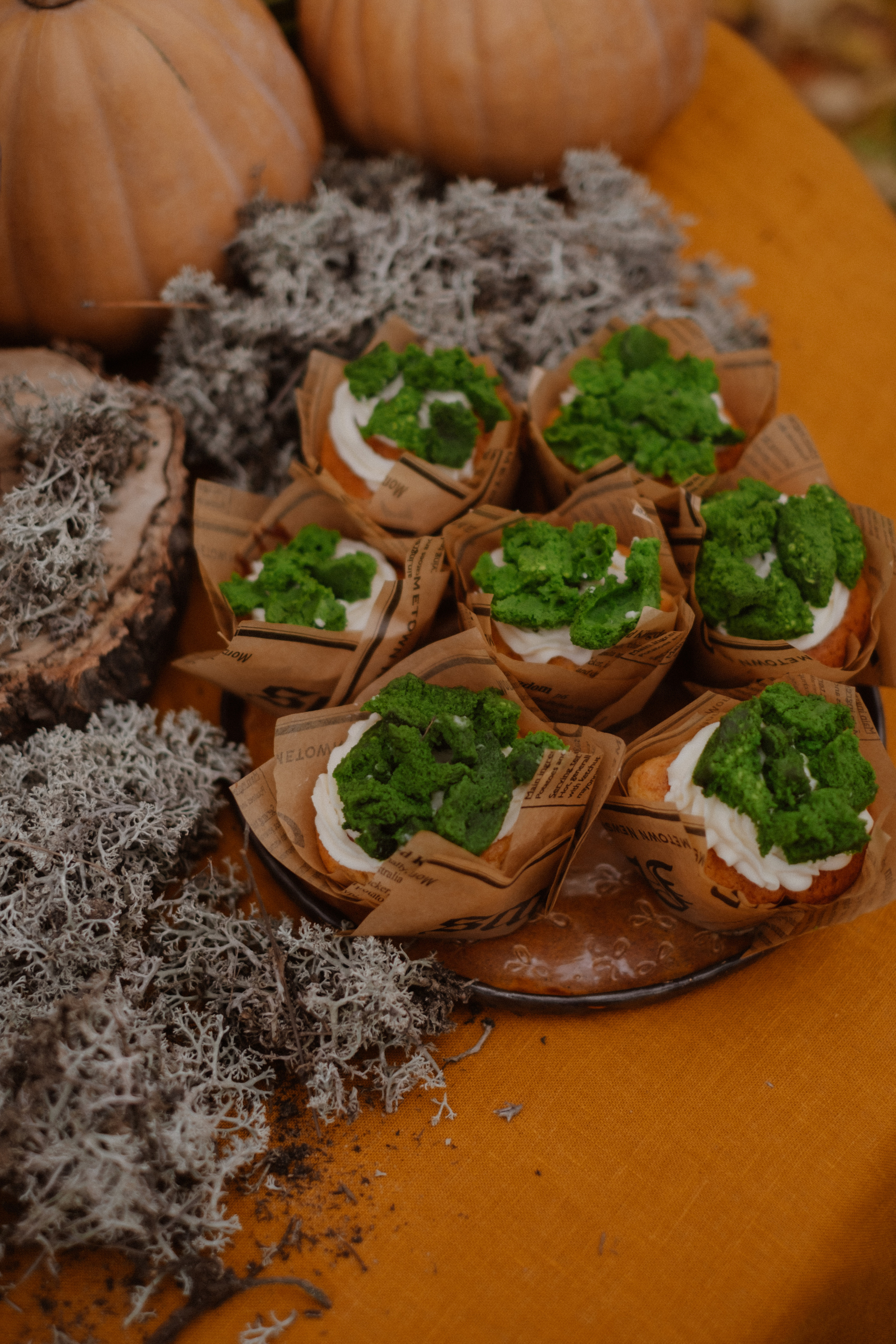 Семья. Свадебный и семейный фотограф г. Волгоград Биленко Ангелина