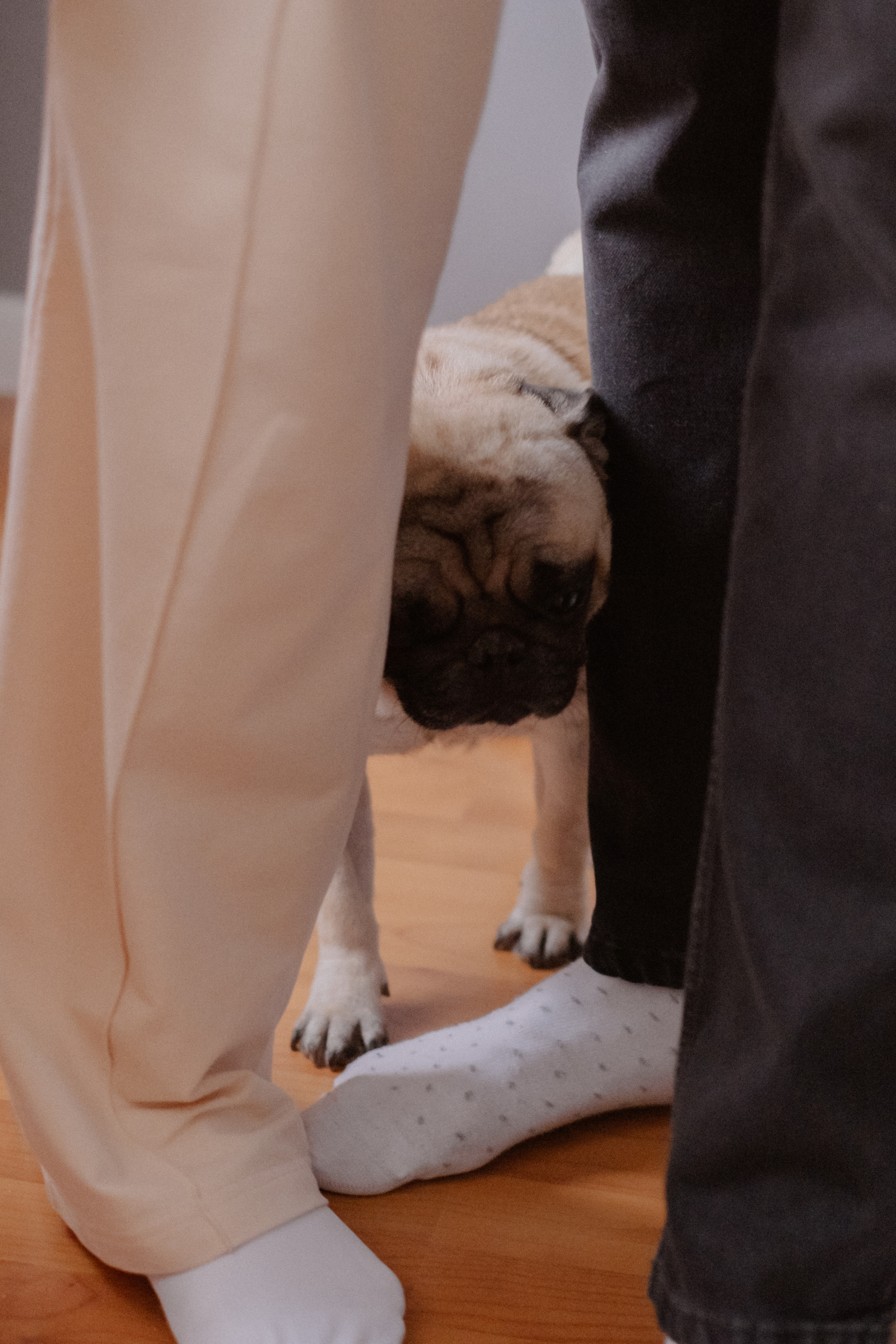 Марк 7 дней. Свадебный и семейный фотограф г. Волгоград Биленко Ангелина