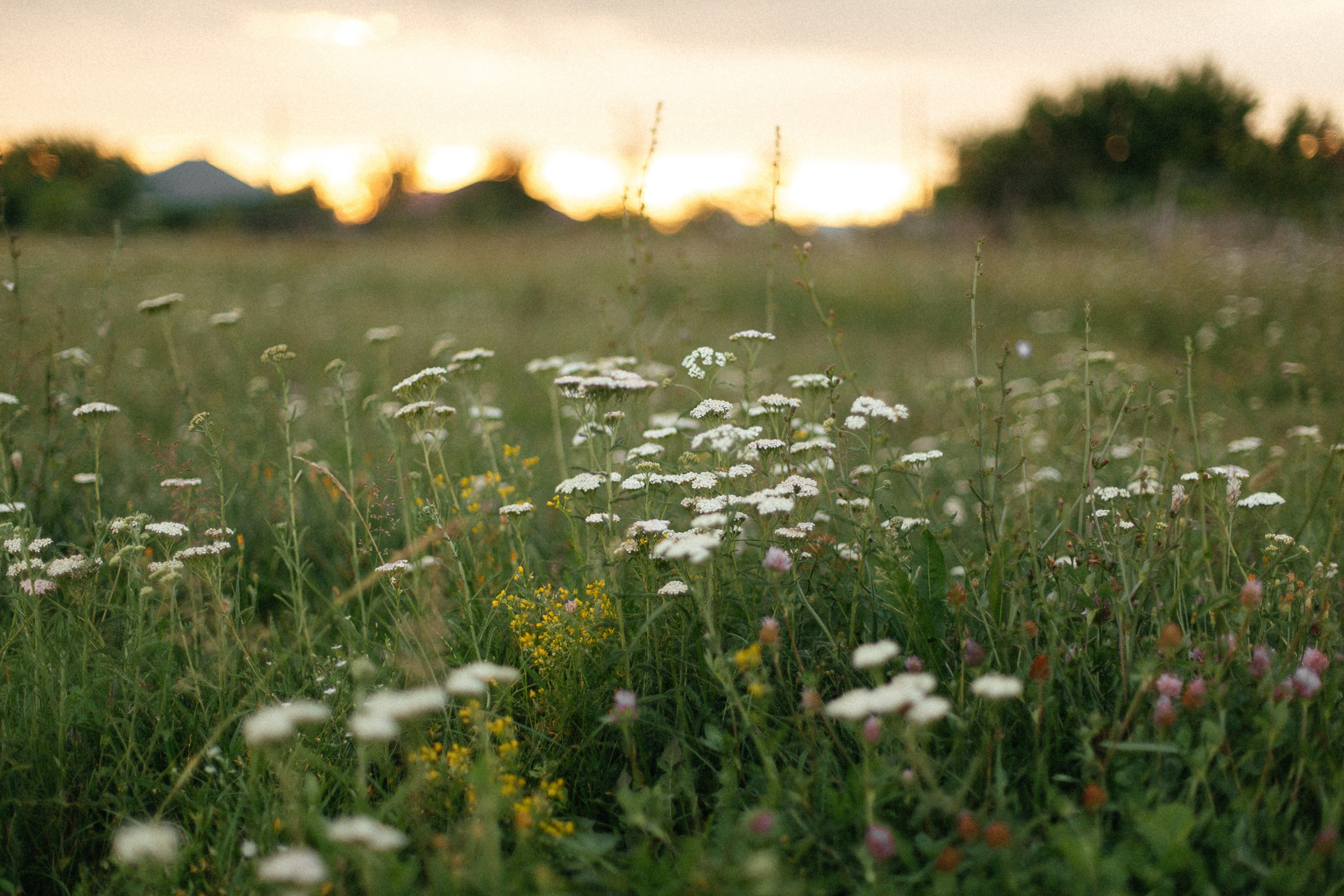 Юля и Софа. Фотограф Любовь Щербинина