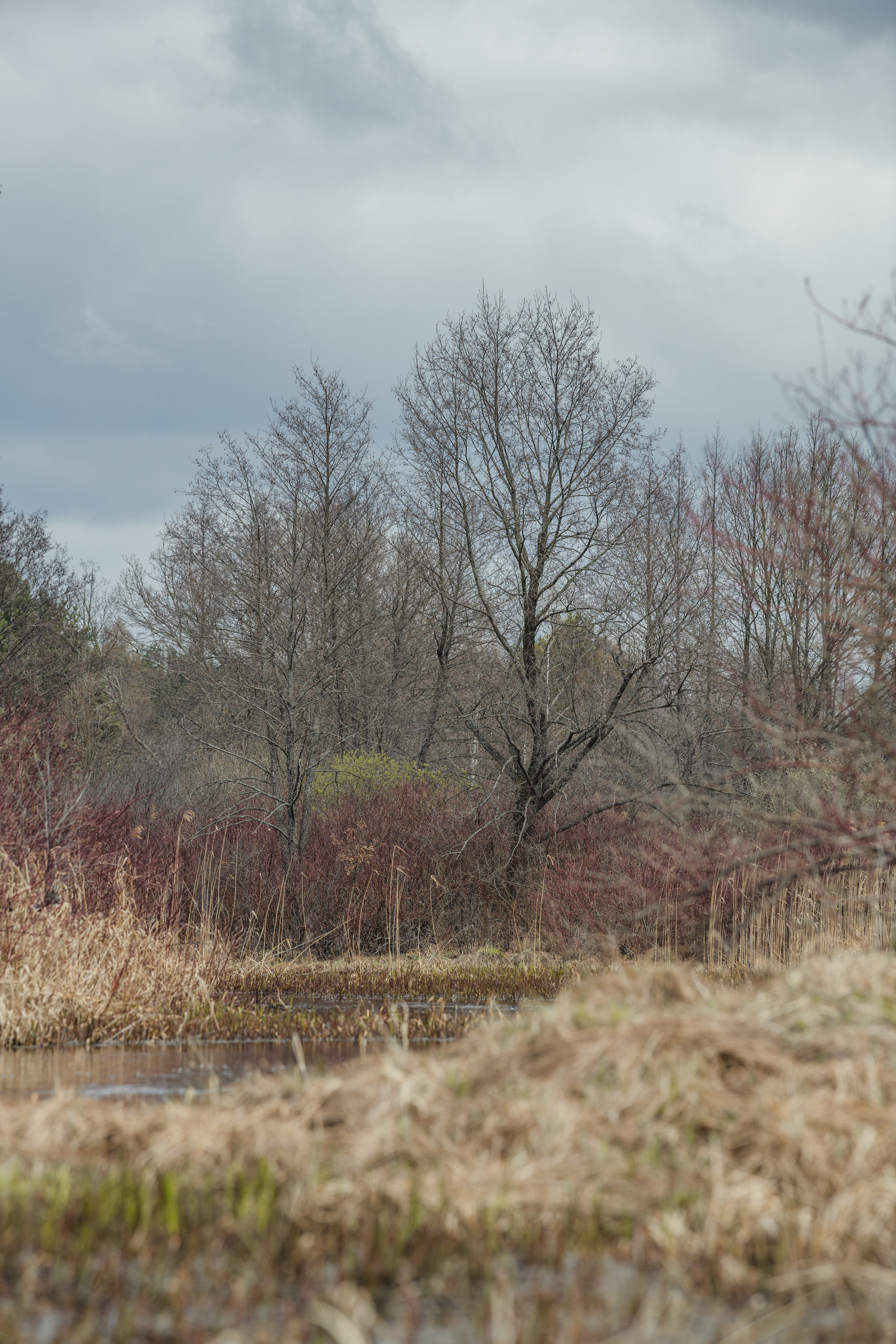 Разведка нового маршрута. Репортажный фотограф Владимир Беляй