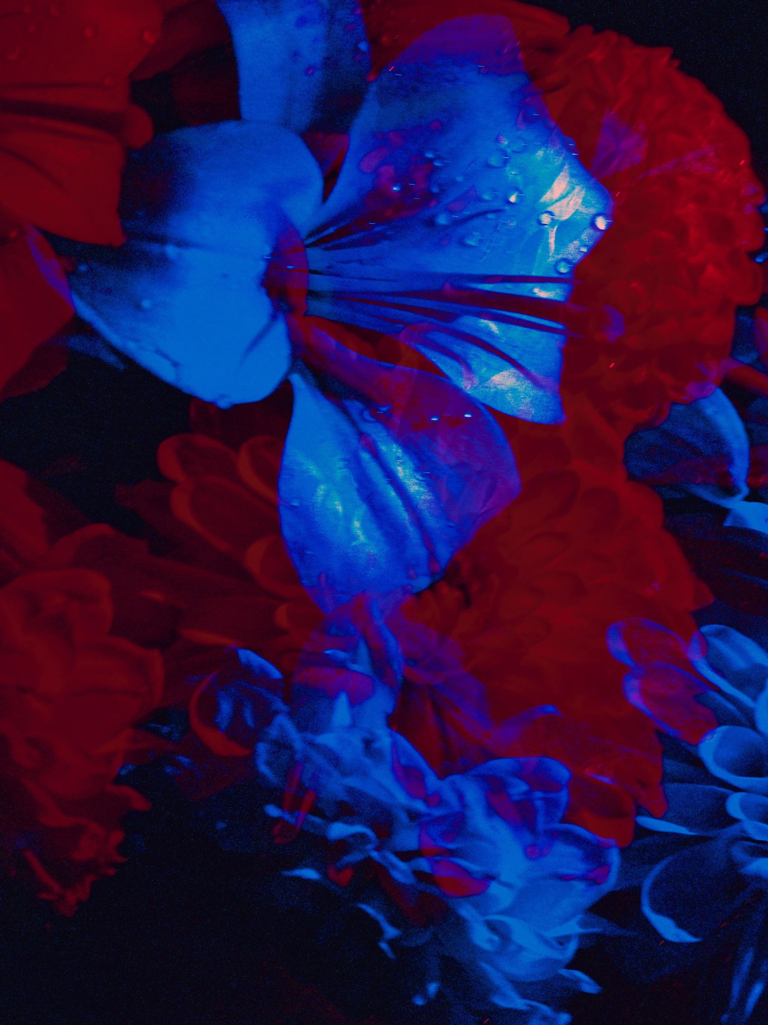 Курс «БОЛЬШОЙ И ГРОМКИЙ!». Университет по фотографии Игоря Мальцева