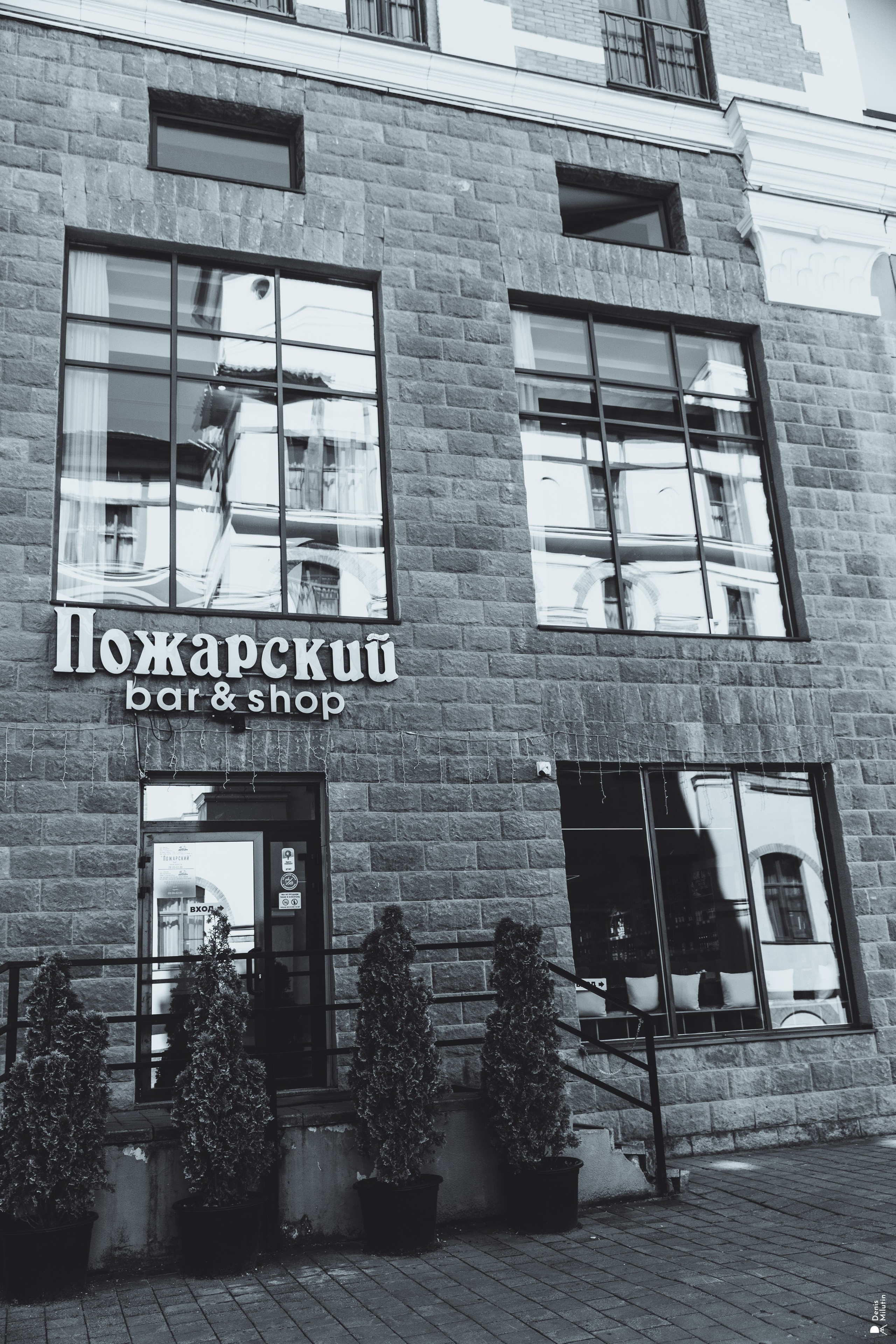 Черноморский ветеринарный бизнес форум. პორტრეტის სტუდიის ფოტოგრაფი სენაკში დენის მილუტინი