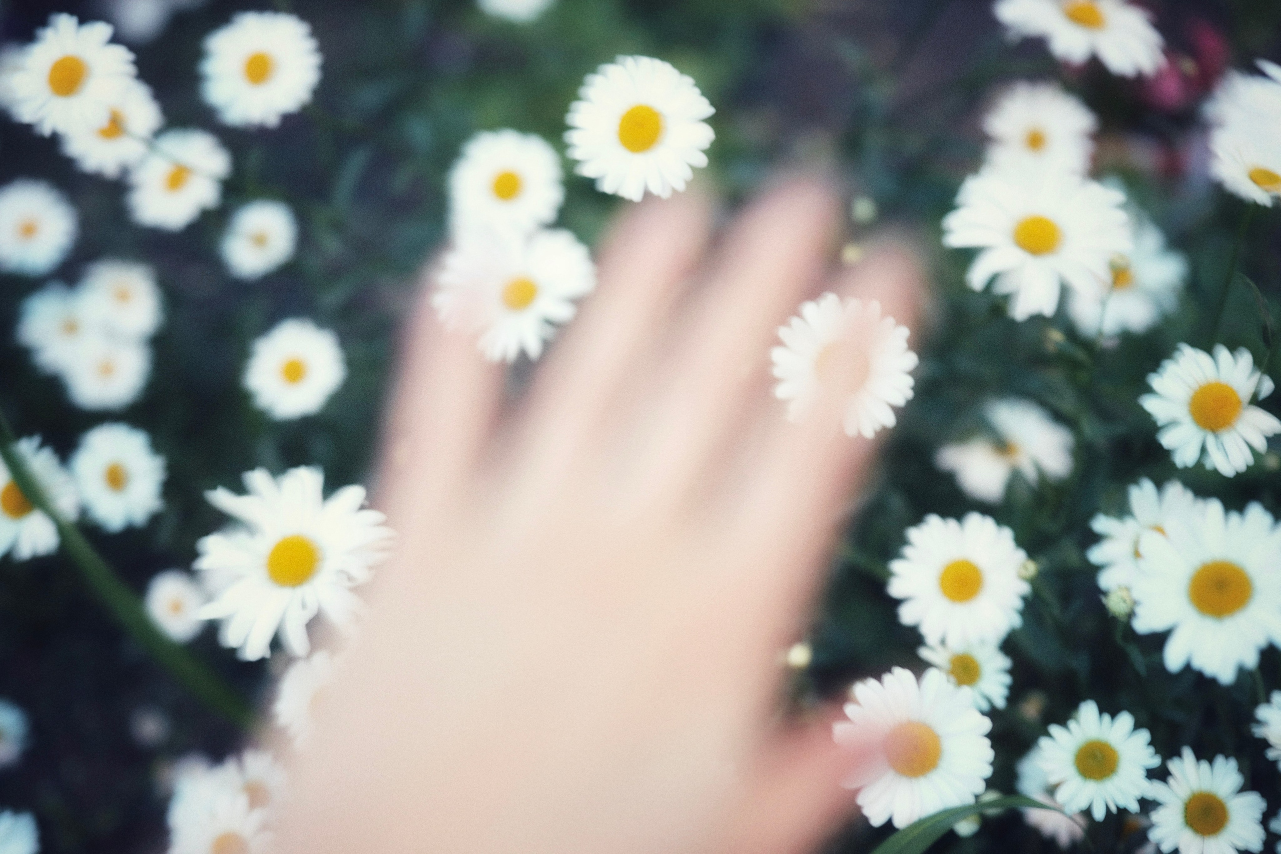 My beautiful days / Moscow 2024. POLINA MÔMOT