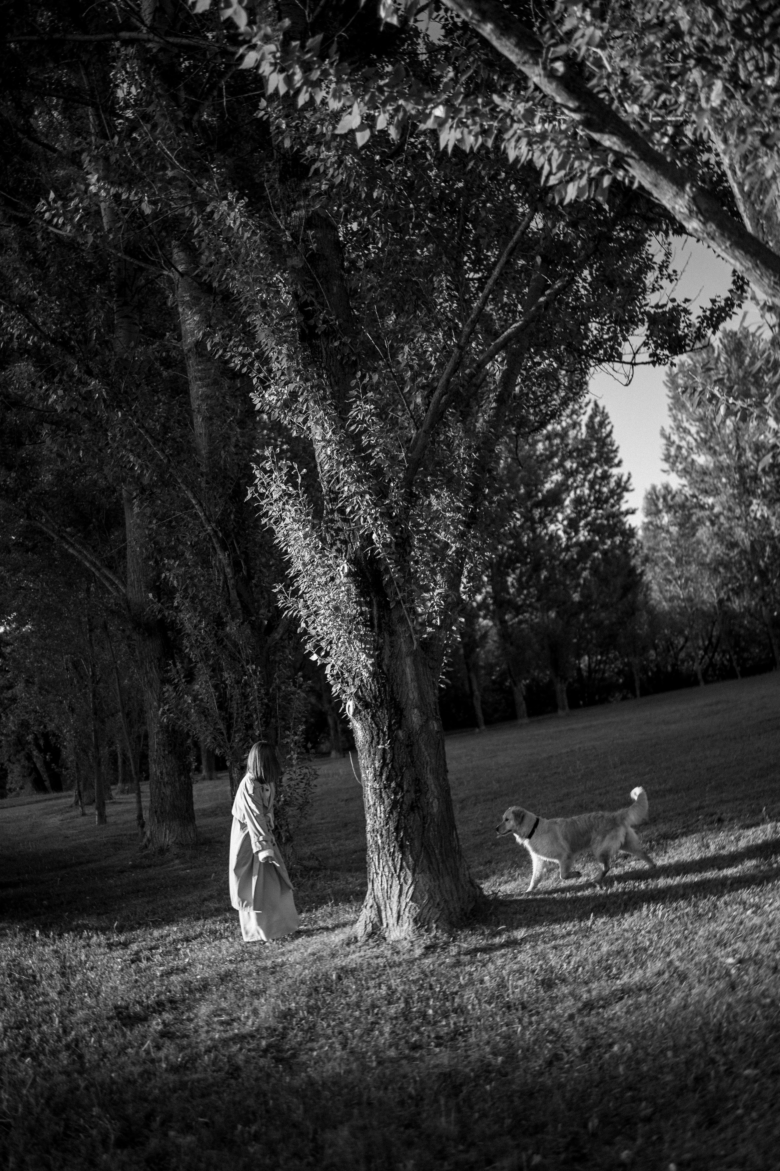 Пенни и ребята. Фотограф — Анималист | Санкт-Петербург