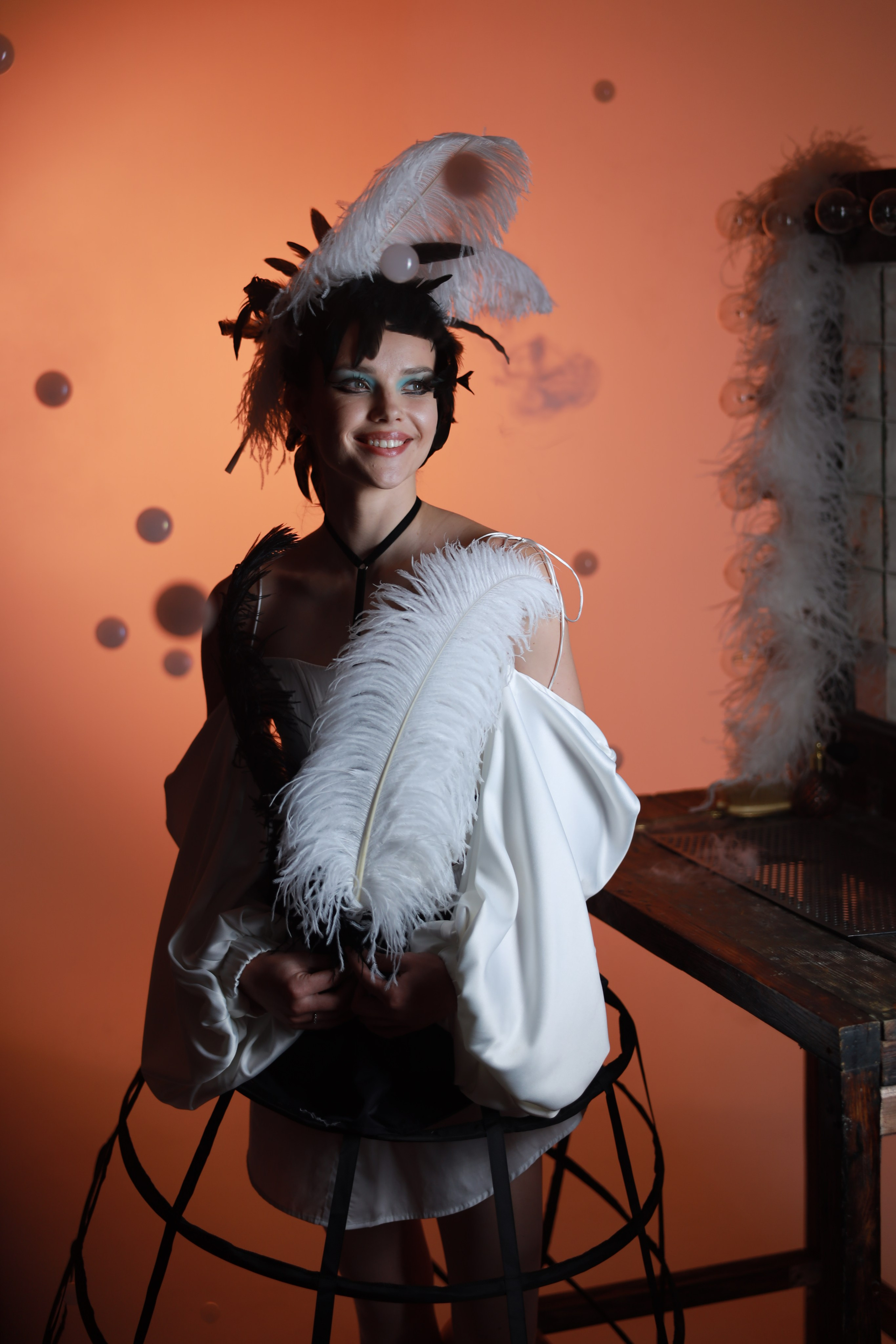 Перья. Съемка в студии под ваш запрос, студийные съемки, фотографии архитектурных объектов — Александр Евстигнеев — фотограф Москва