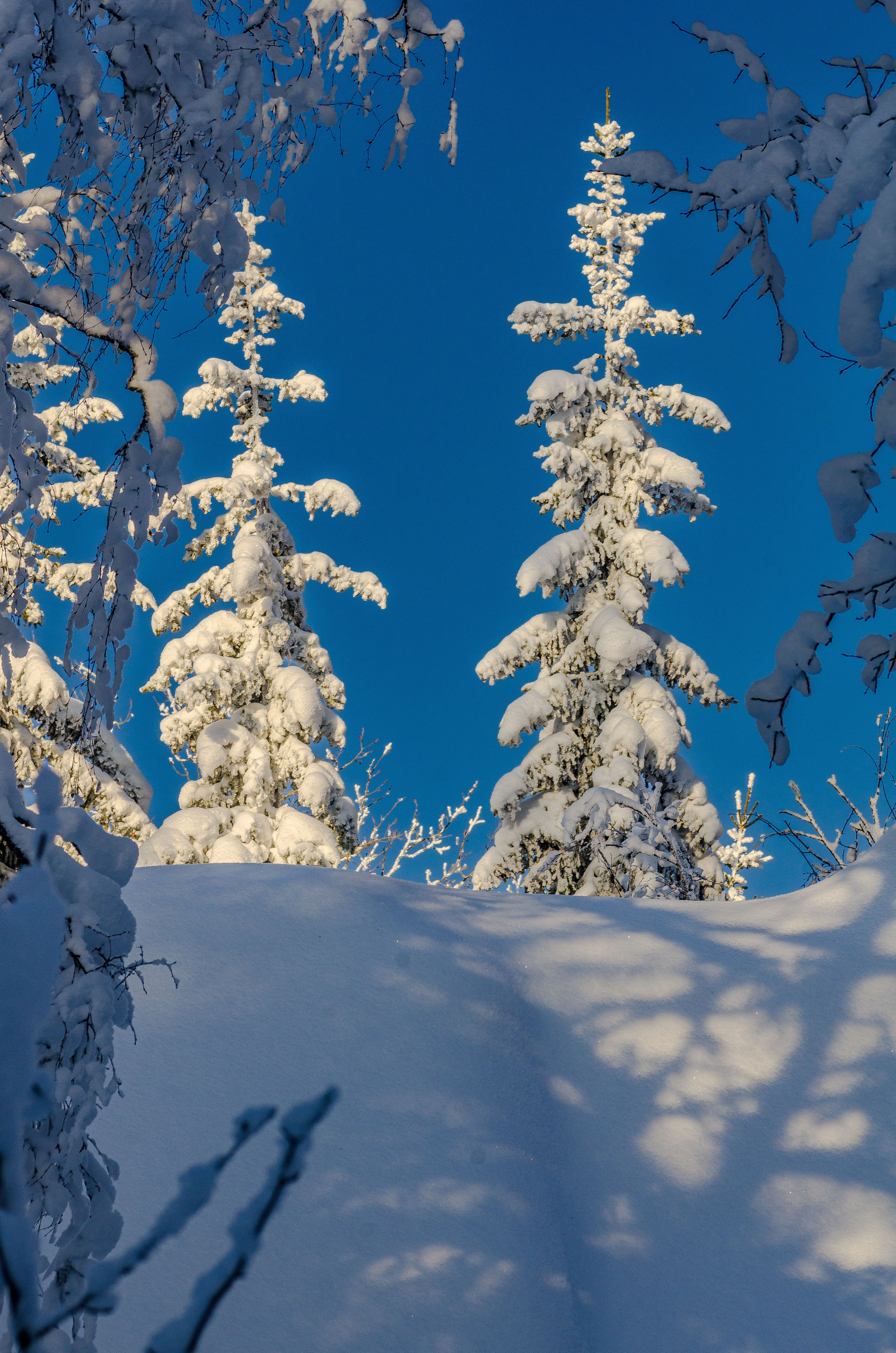 Таганай Семибратка, Парк Бажова, ледяной фонтан 06.01.2024. Свадебный фотограф на Урале Виктор Соколов