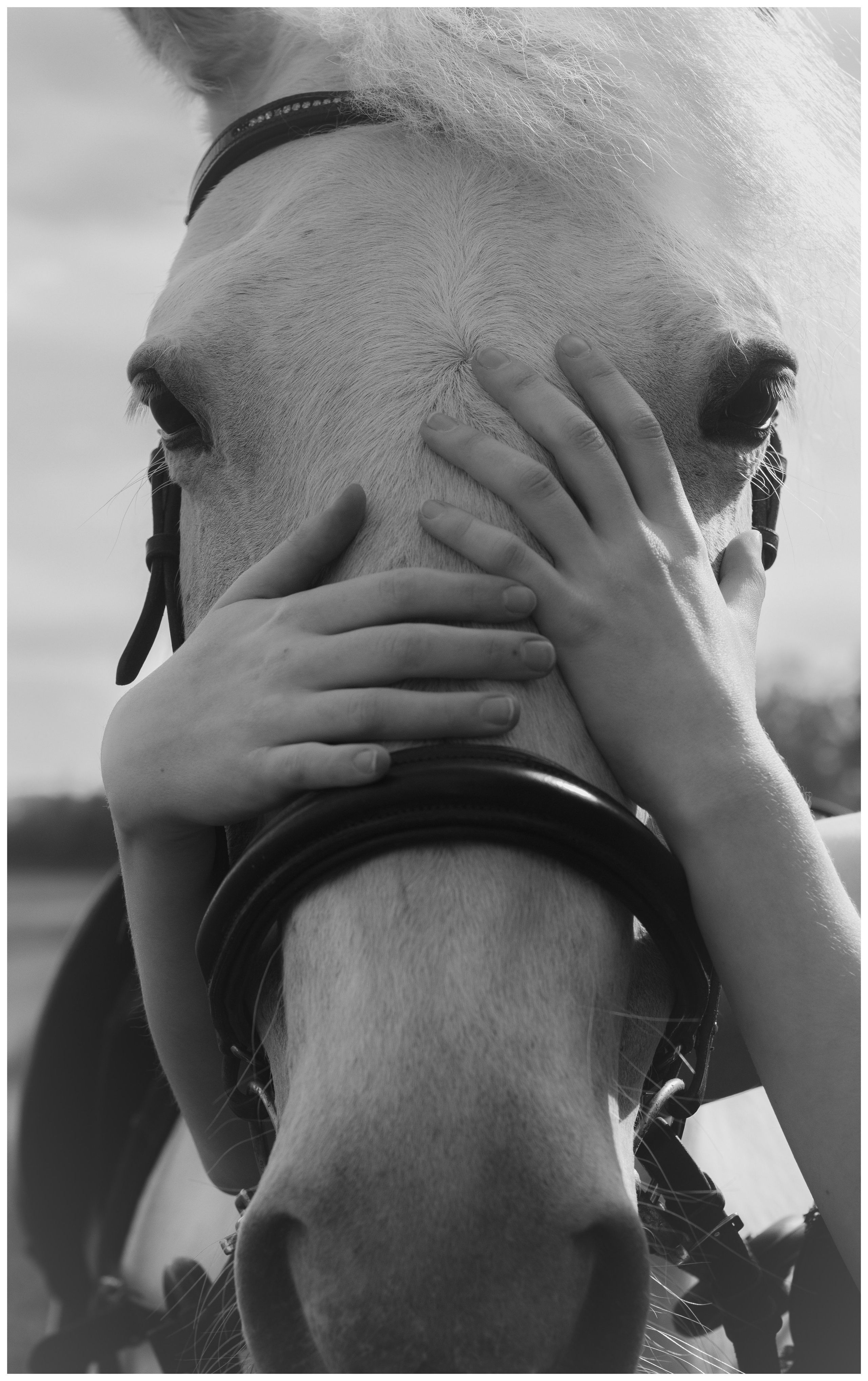 Екатерина. Портретный фотограф в Орле. Готовые фото за 3 дня! Помощь в позировании. Советы по организации