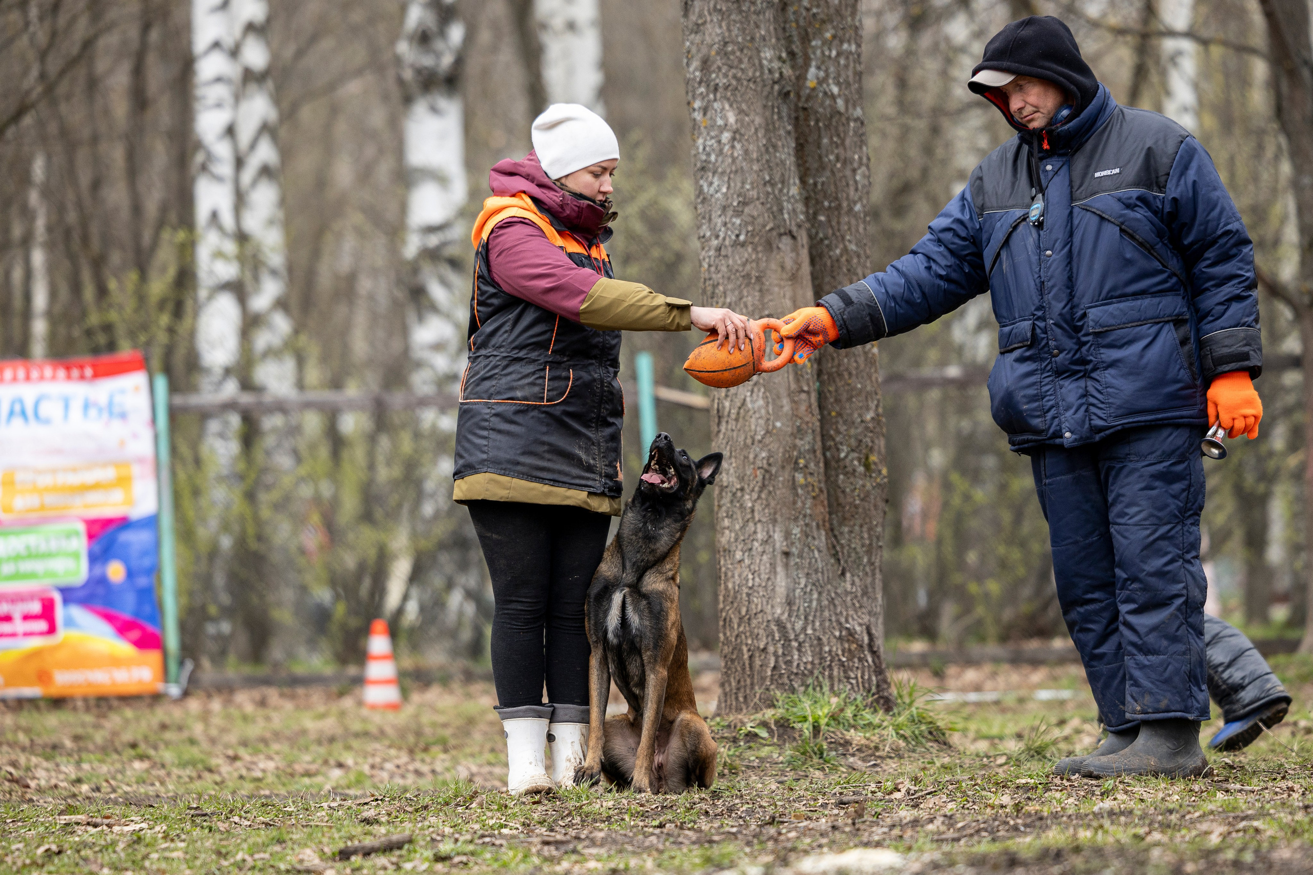 Квалификационные состязания по мондьорингу г. Вологда 11.05.24. Фотограф-анималист Анна Маринич