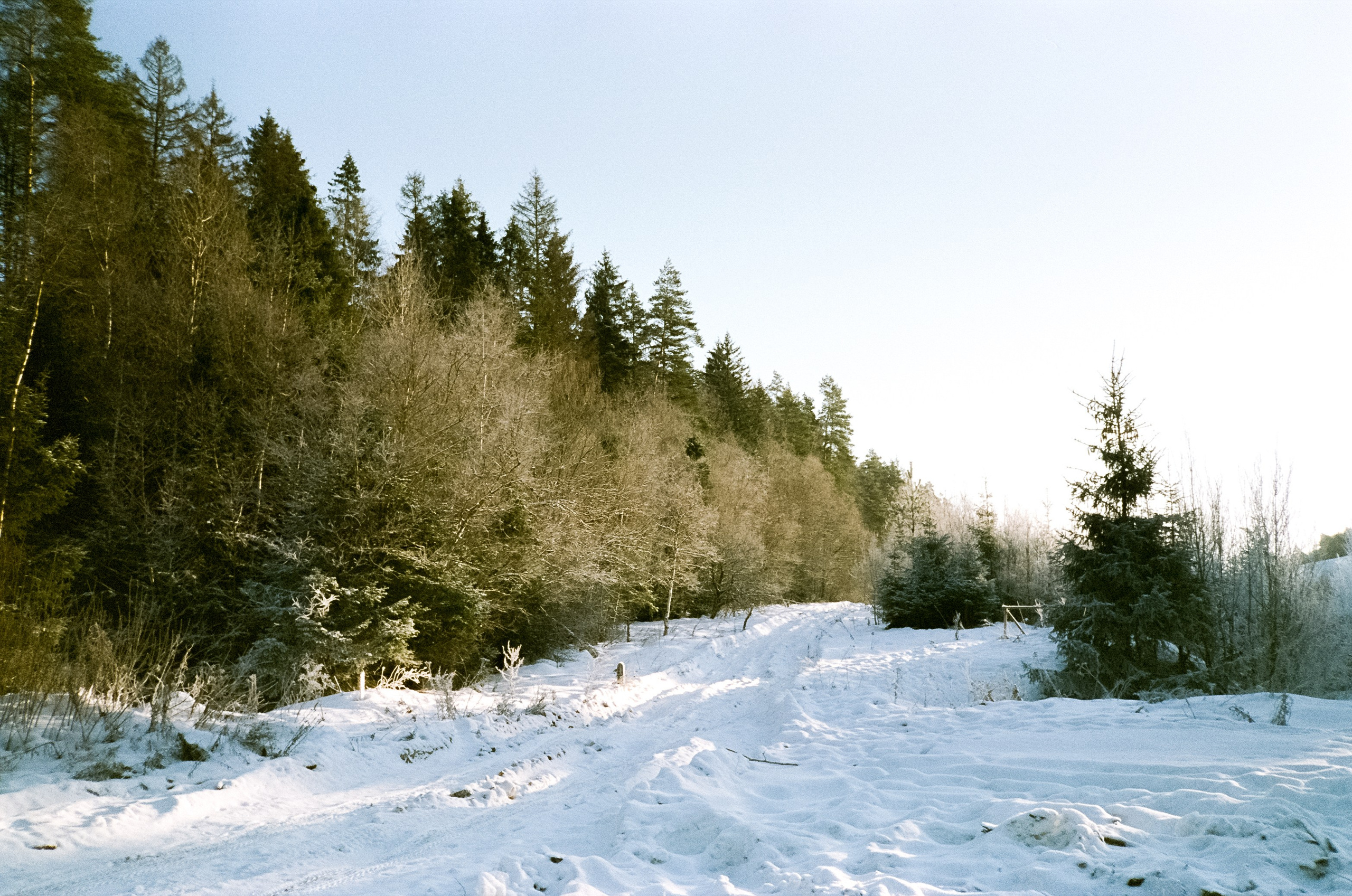 Chinon Auto 3001 (2) / Fuji Eterna 250D (ISO 100) / Давыдовское, Лукин