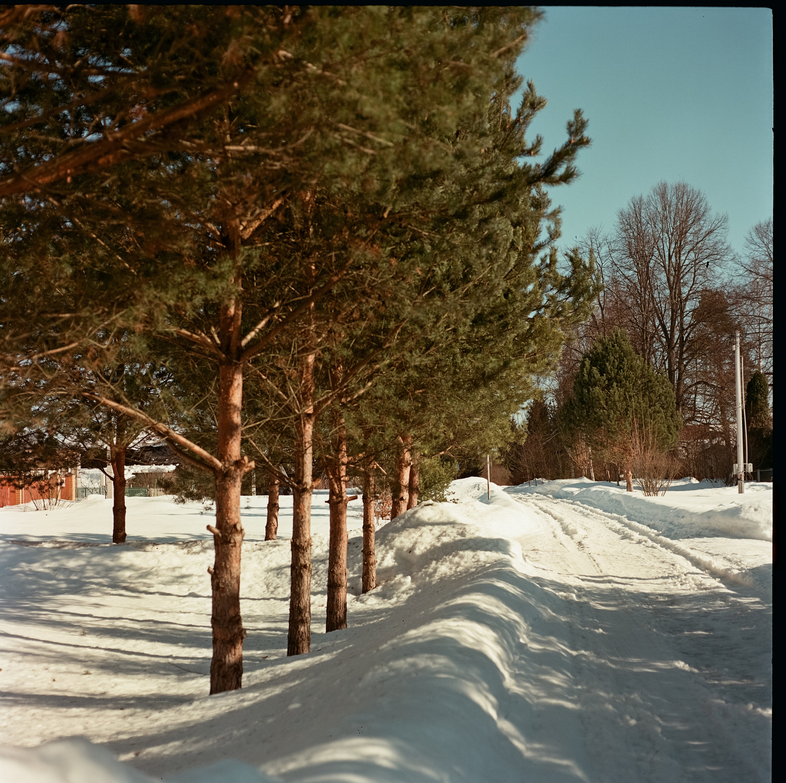 Kowa Six / Kodak Aerocolor IV C-41 / Лукино