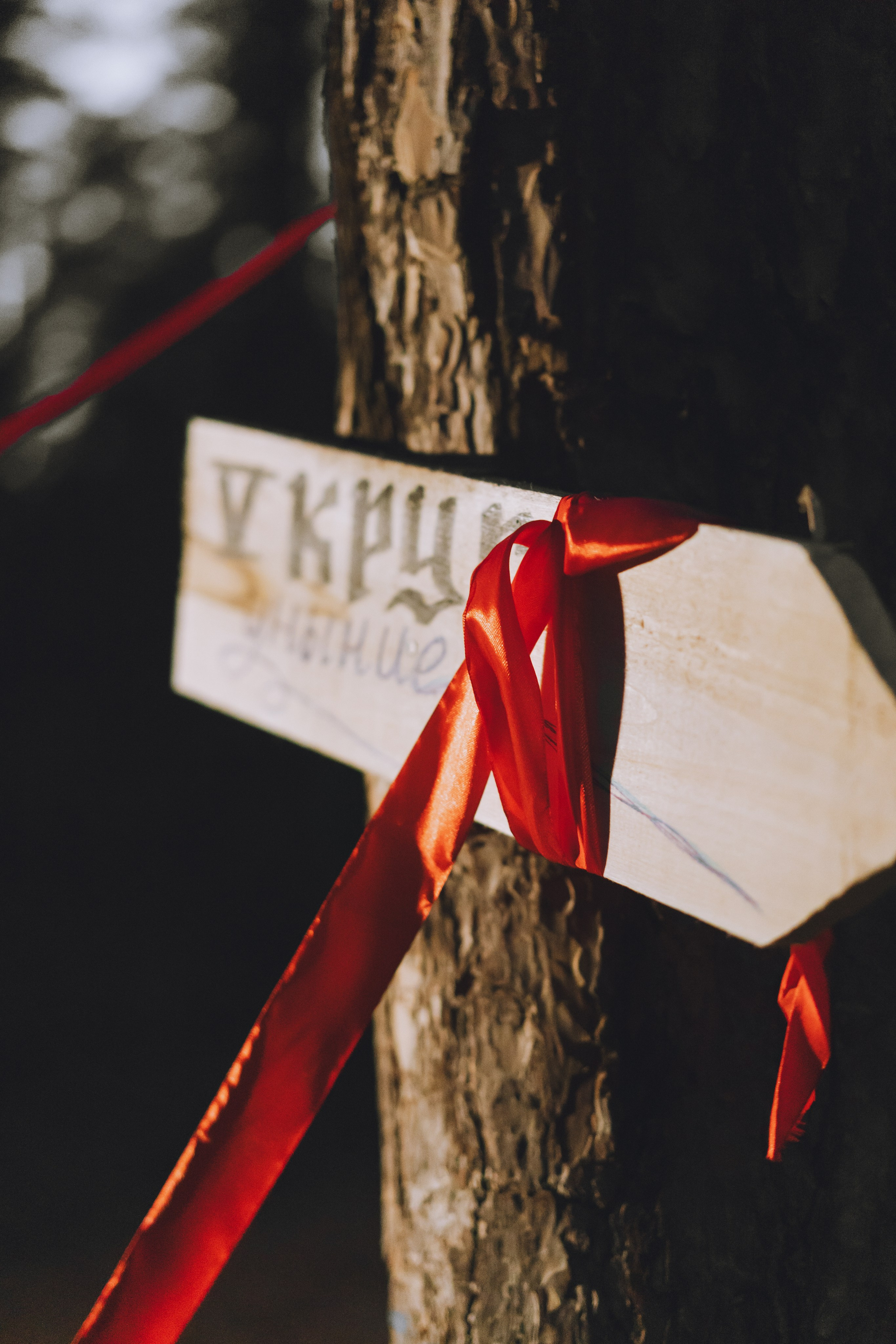 Палаточный форум CAMPot 2025. Фотограф Надежда Погребняк | Рязань | Москва