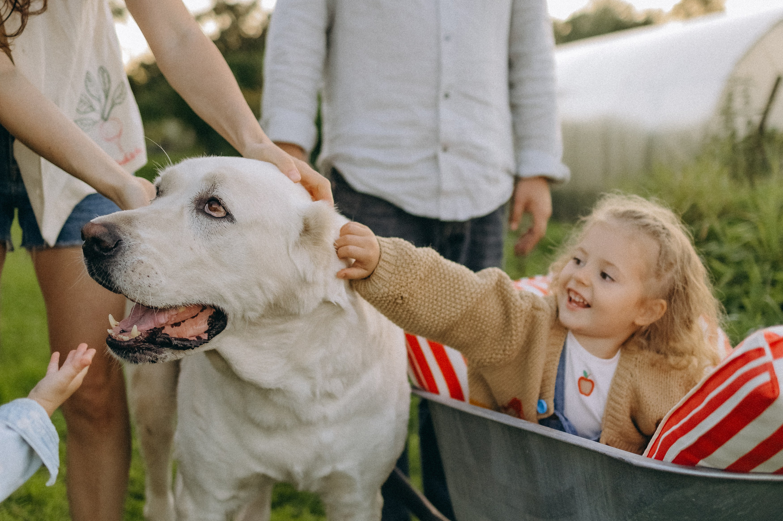 Алена, Еся, Агния. Главная