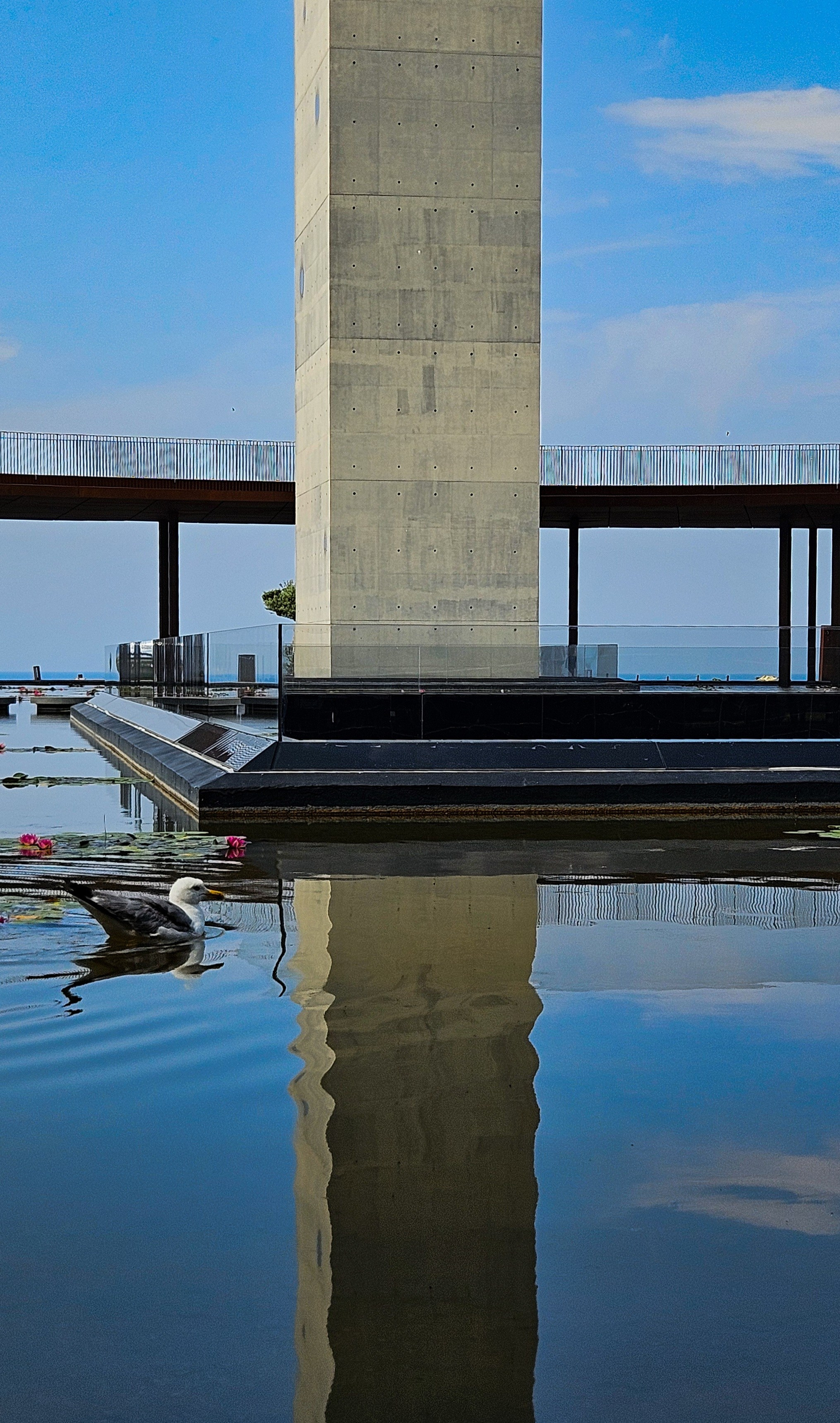 . Фотограф Иван Антонов